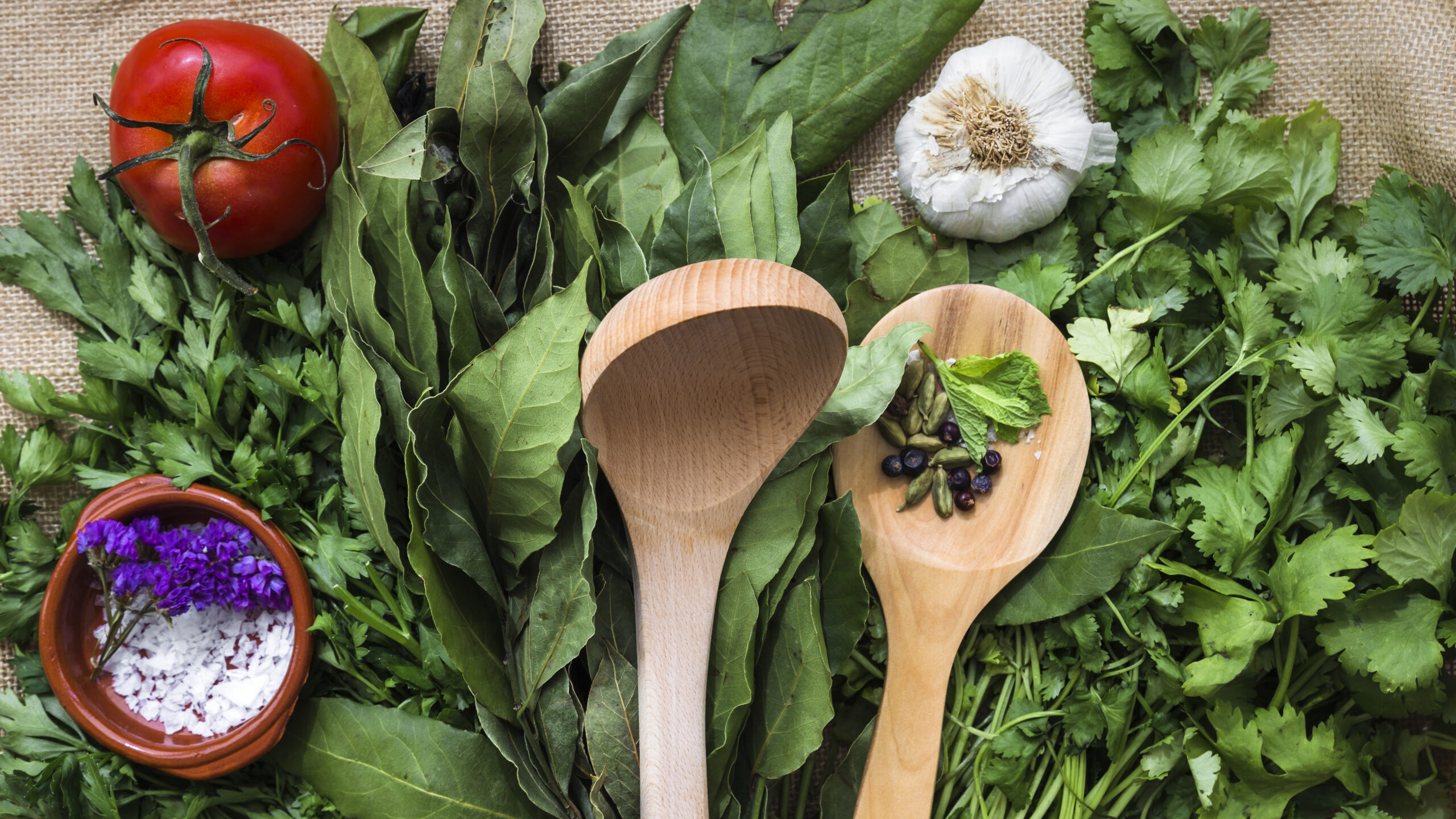 Cuisine des plantes