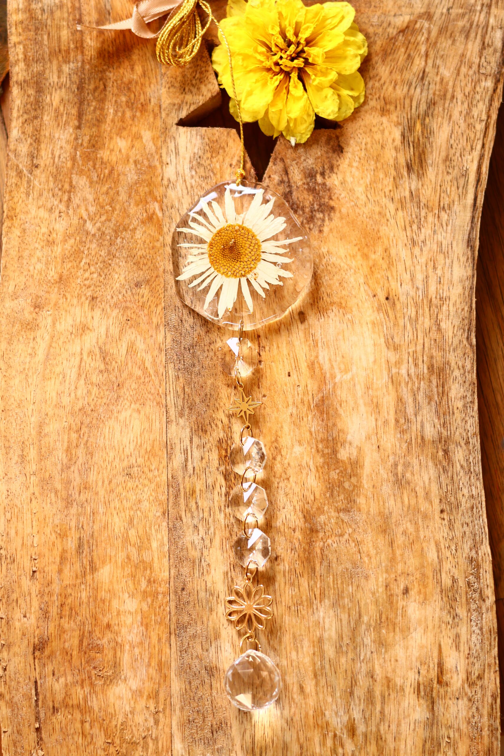 Attrape Soleil – Image 3