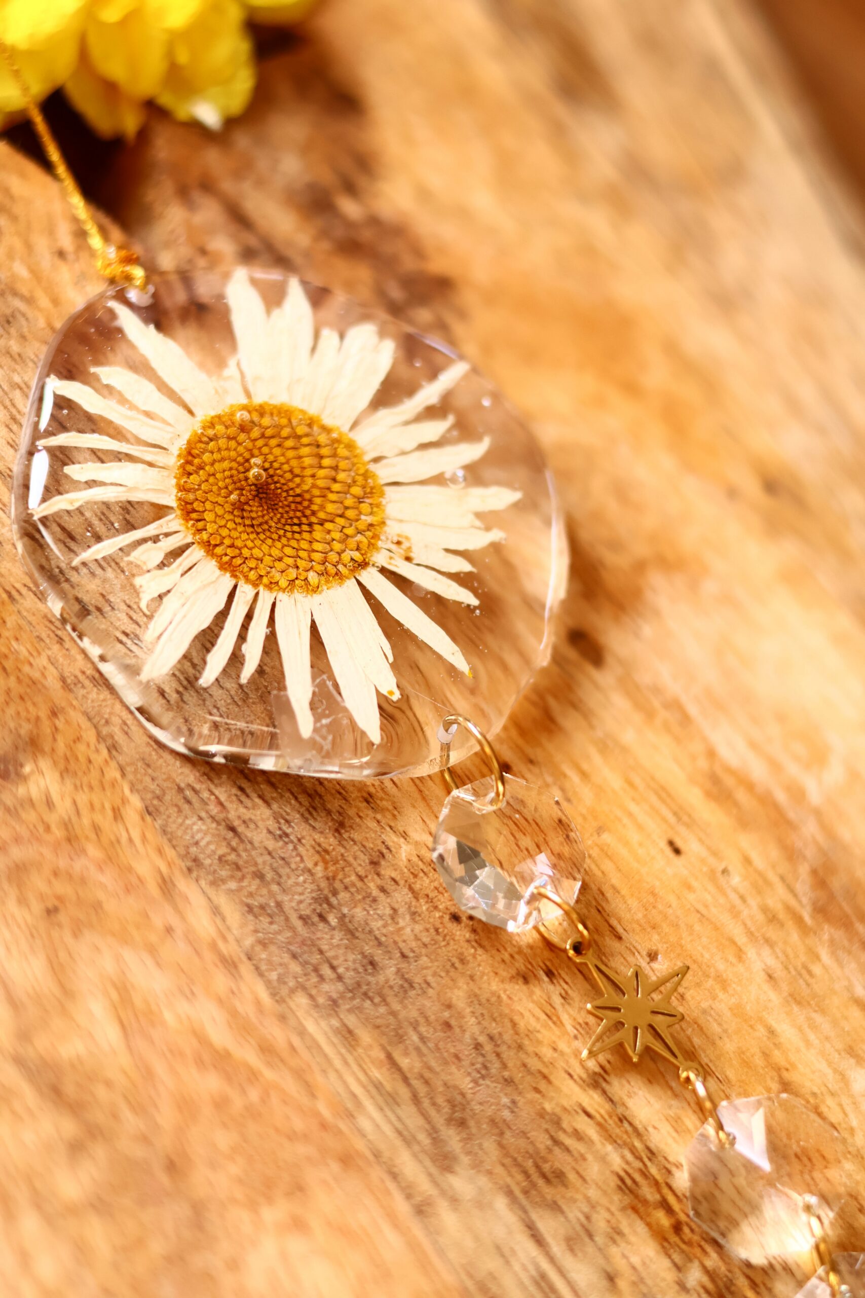 Attrape Soleil – Image 2