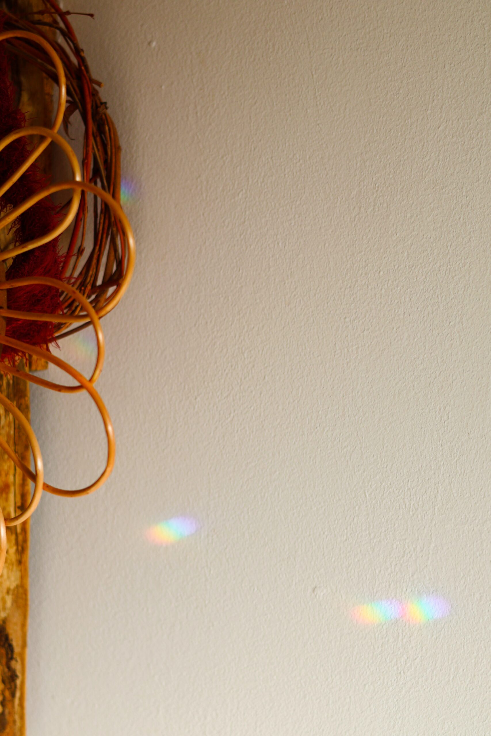 Attrape Soleil – Image 2