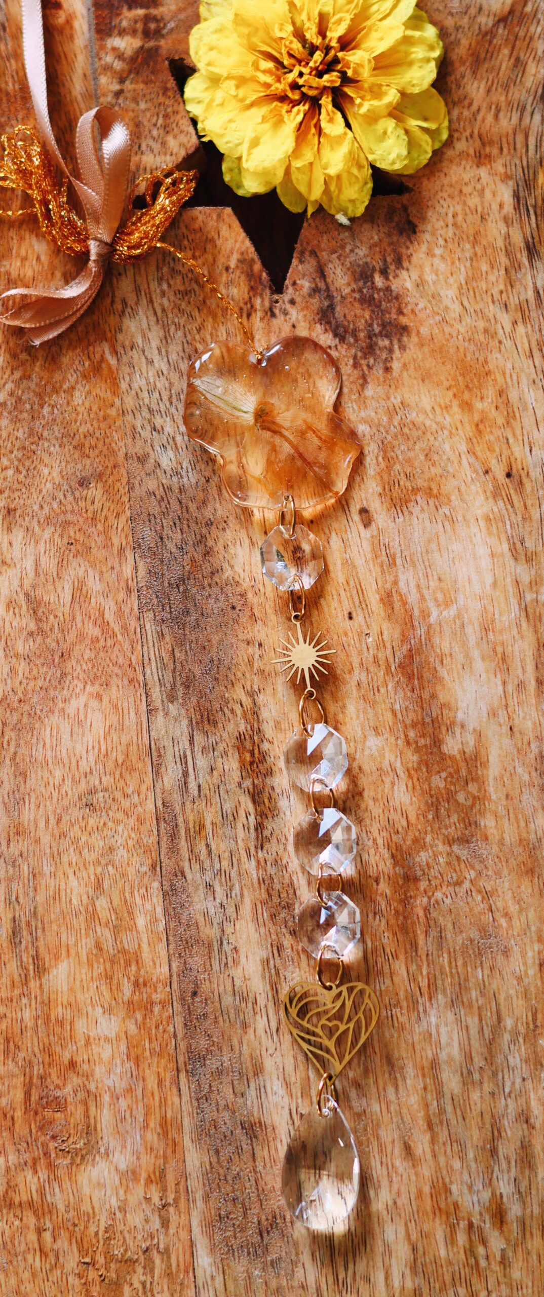 Attrape Soleil – Image 3