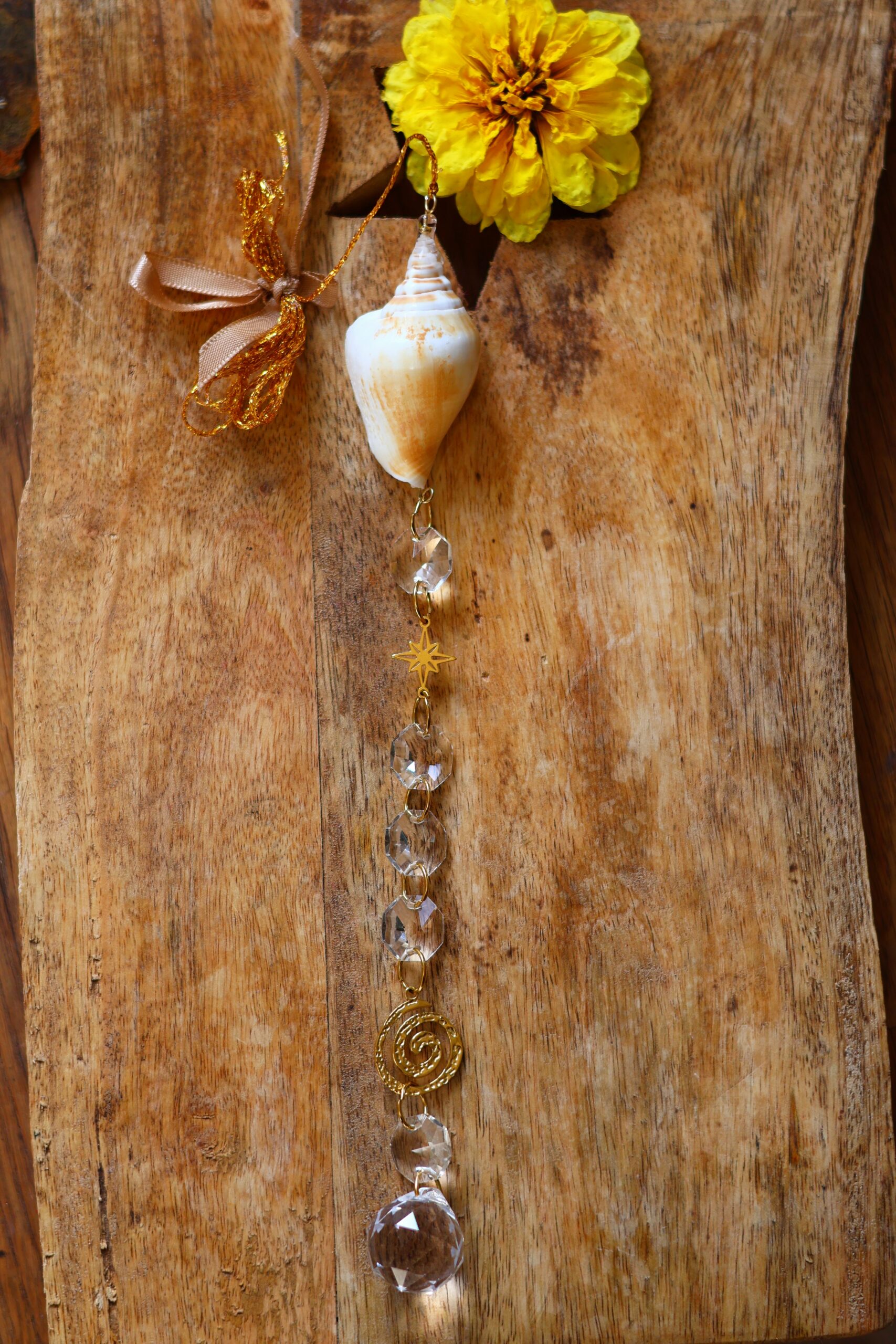 Attrape Soleil – Image 3