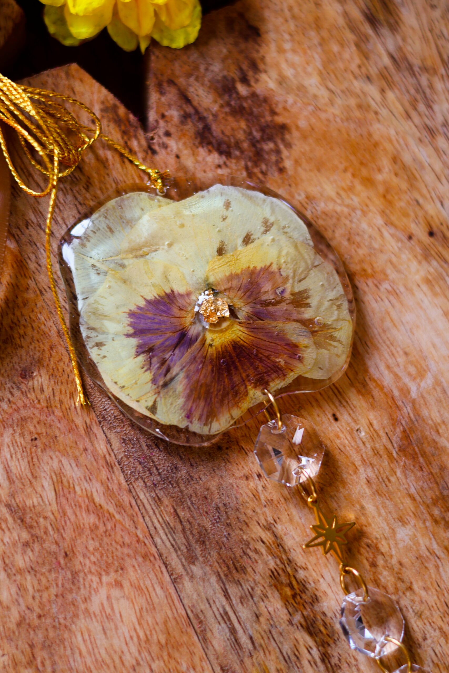 Attrape Soleil – Image 3