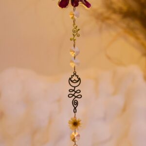 Attrape Soleil cosmos