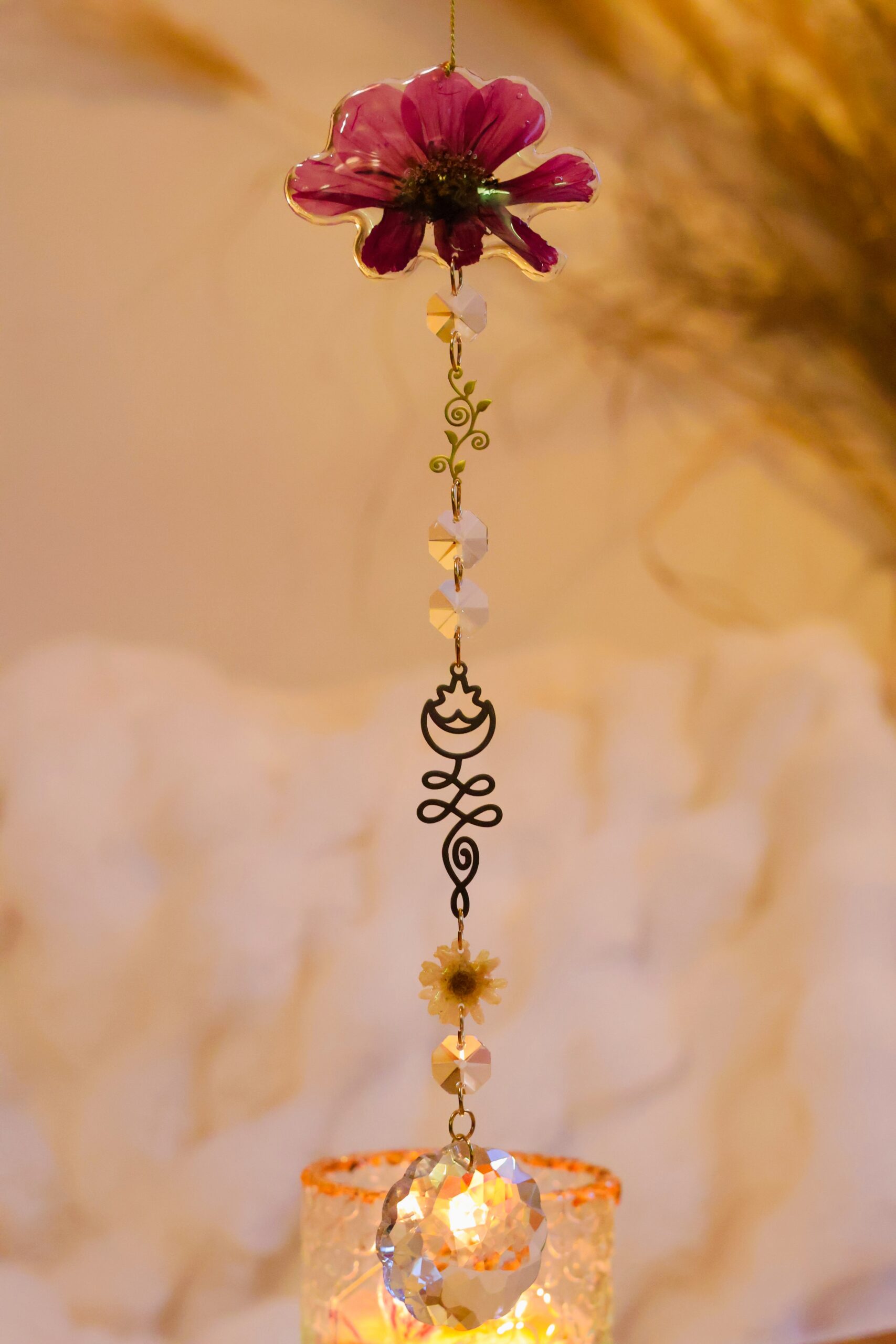 Attrape Soleil cosmos