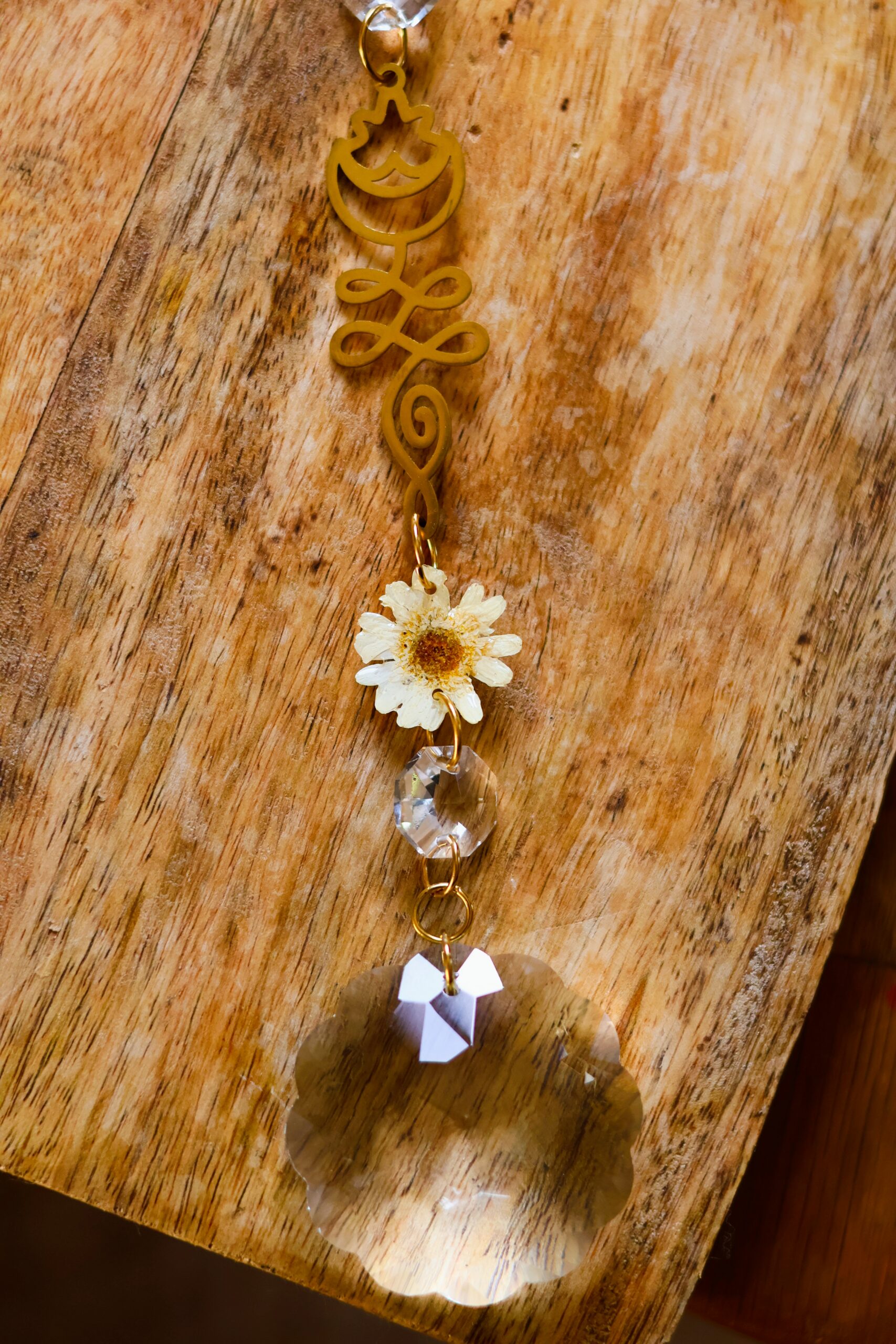 Attrape Soleil cosmos – Image 3