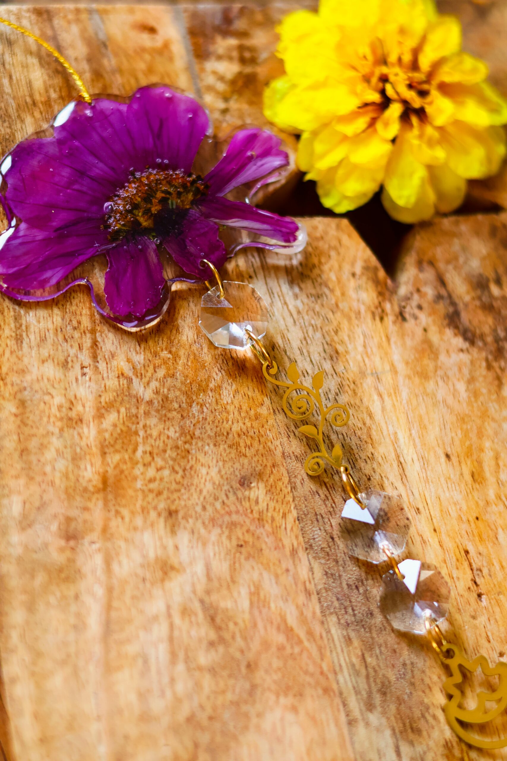 Attrape Soleil cosmos – Image 4