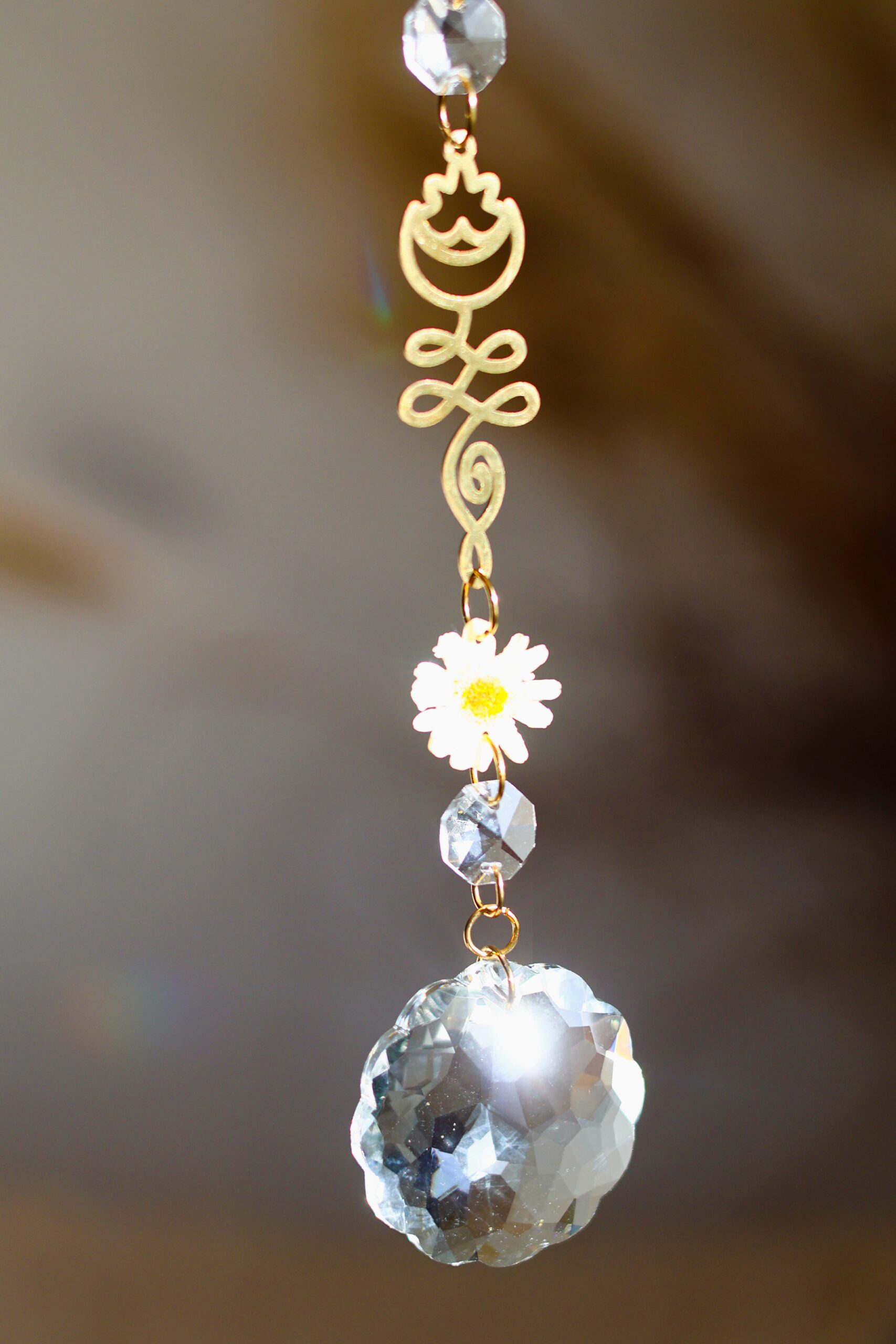 Attrape Soleil cosmos – Image 5