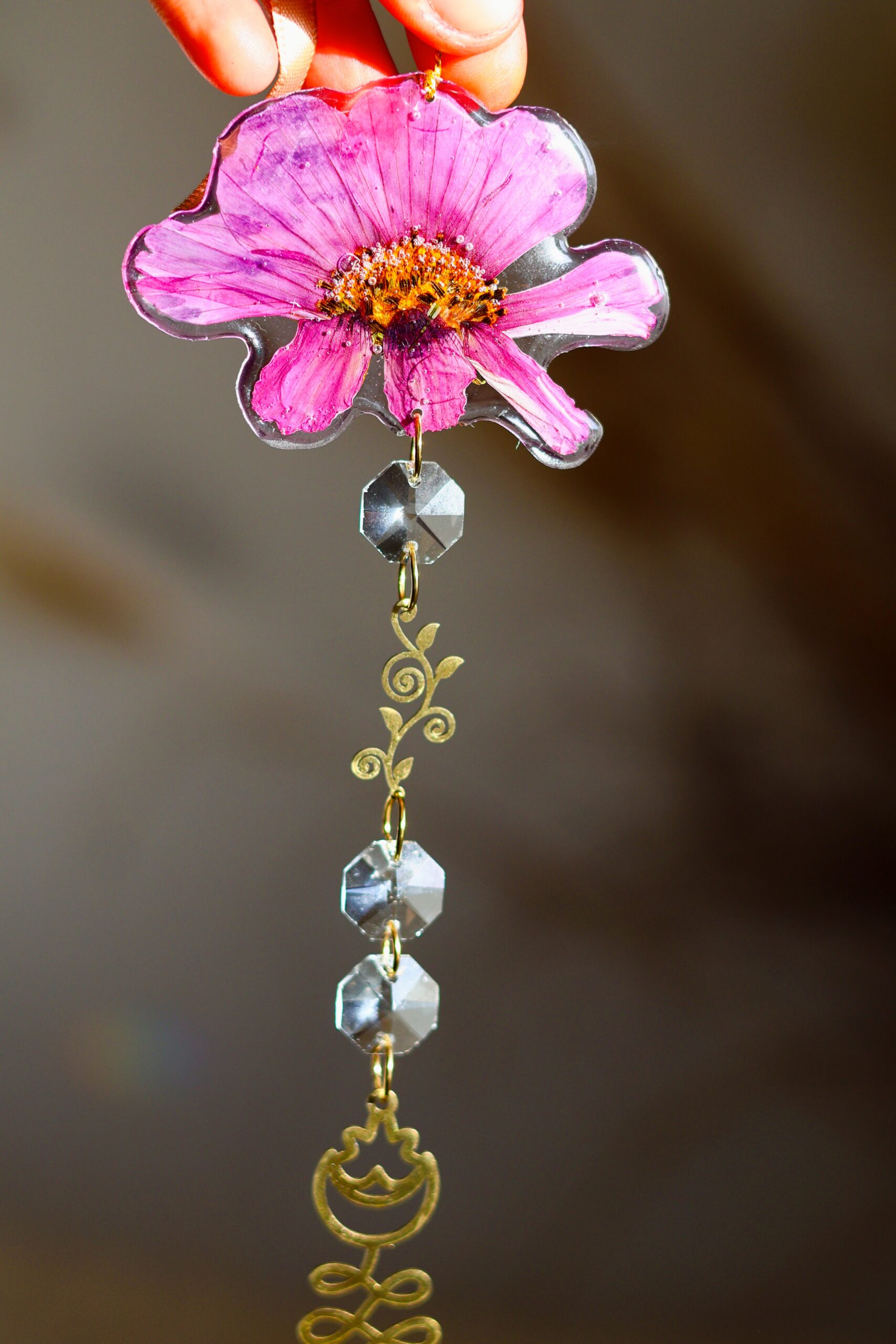 Attrape Soleil cosmos – Image 6