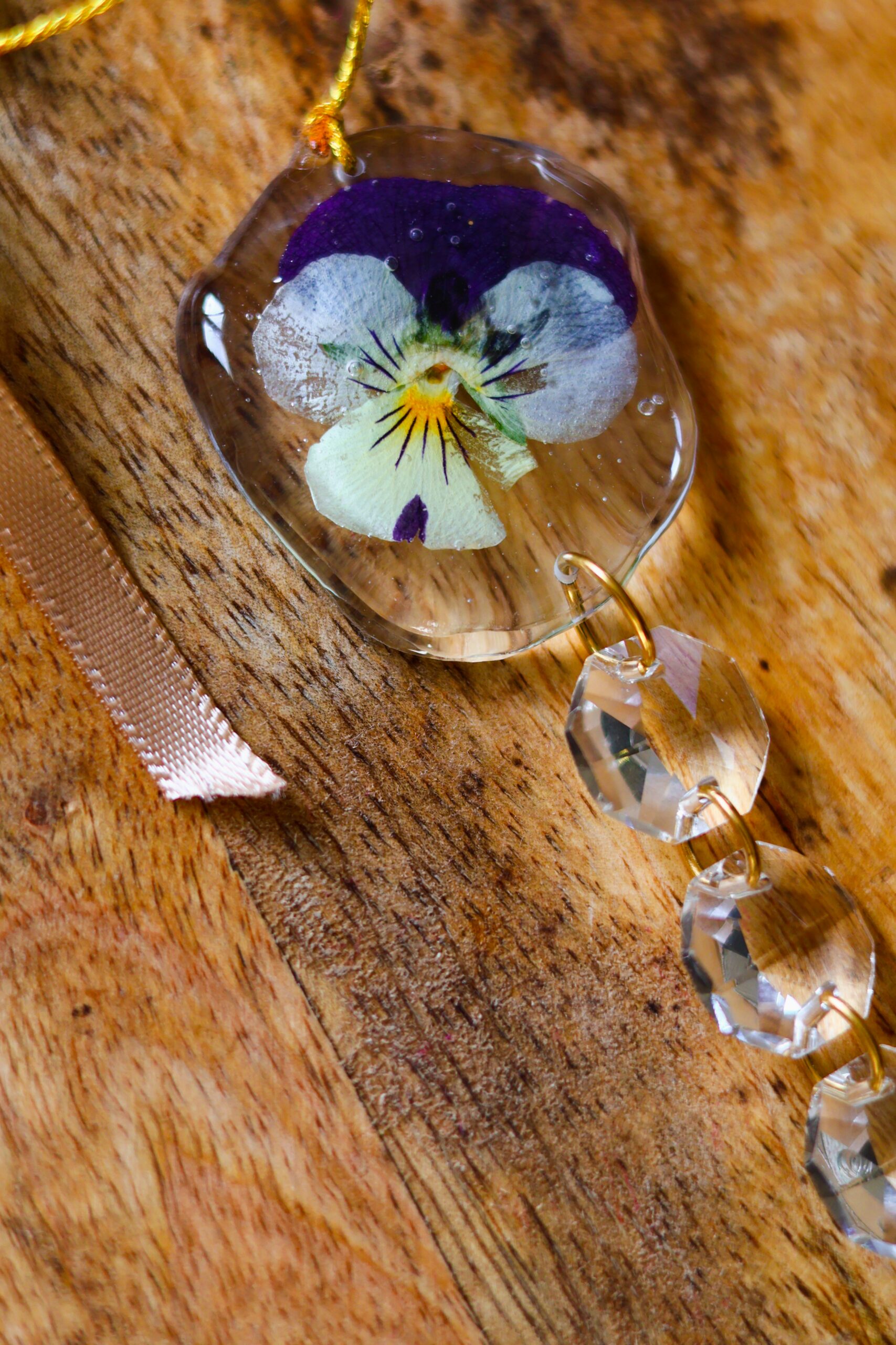 Attrape Soleil – Image 3