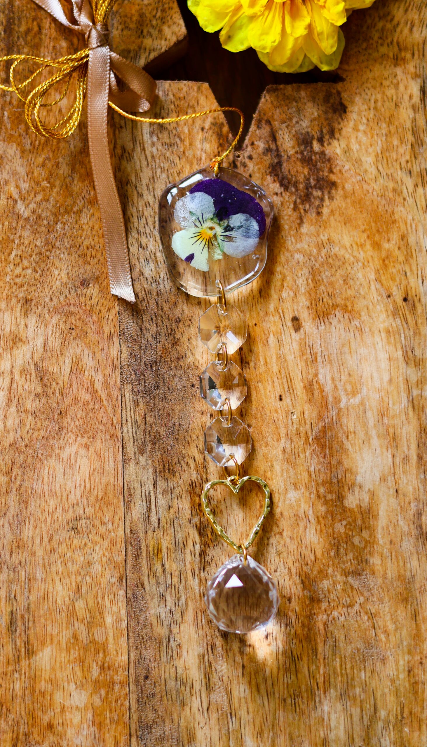 Attrape Soleil – Image 5