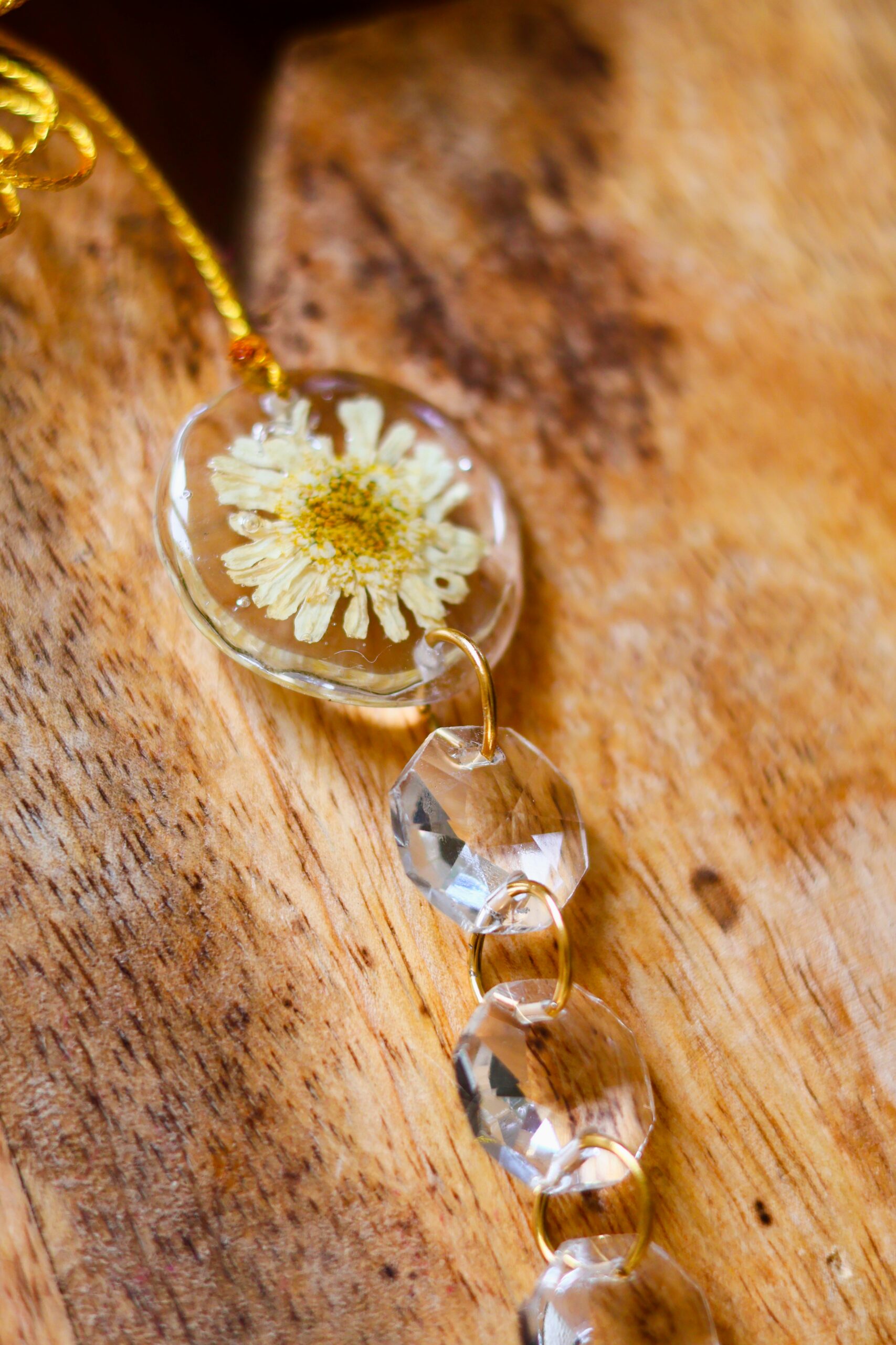 Attrape Soleil – Image 4