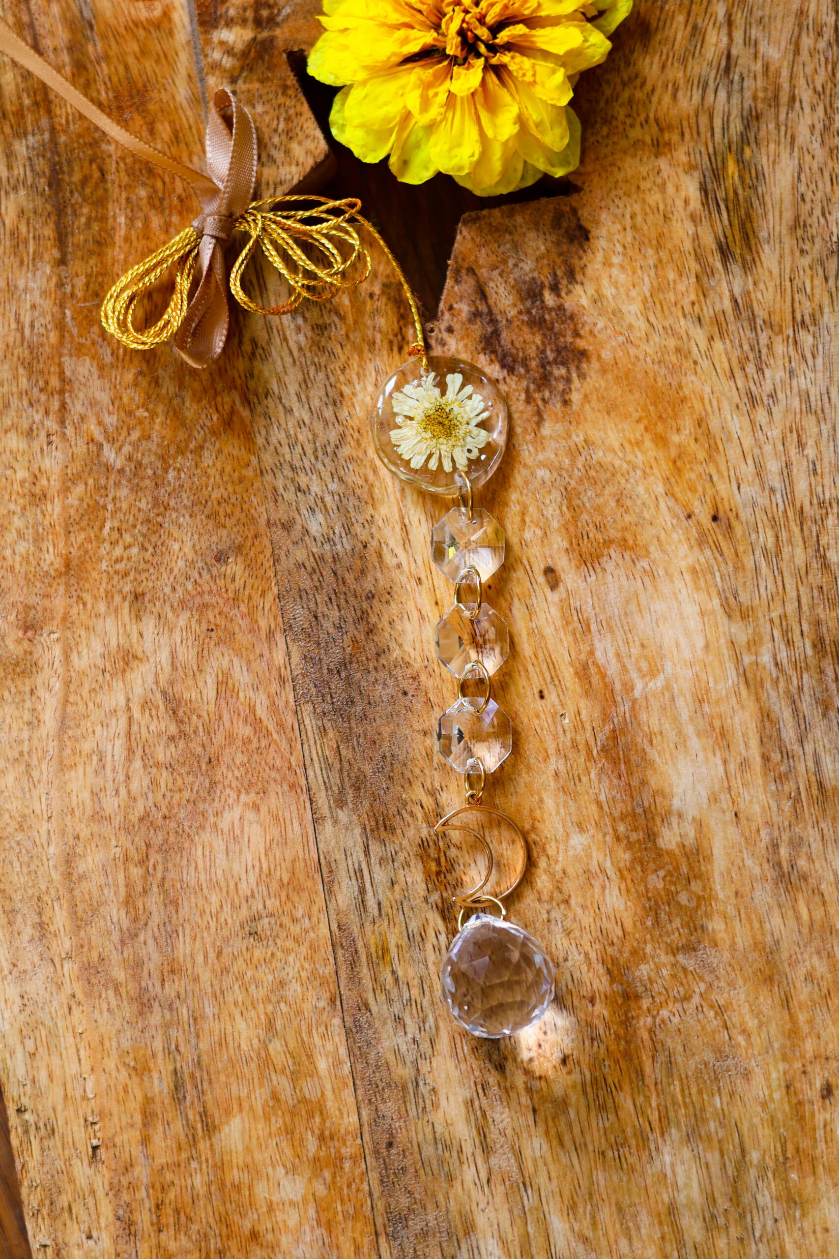 Attrape Soleil – Image 5