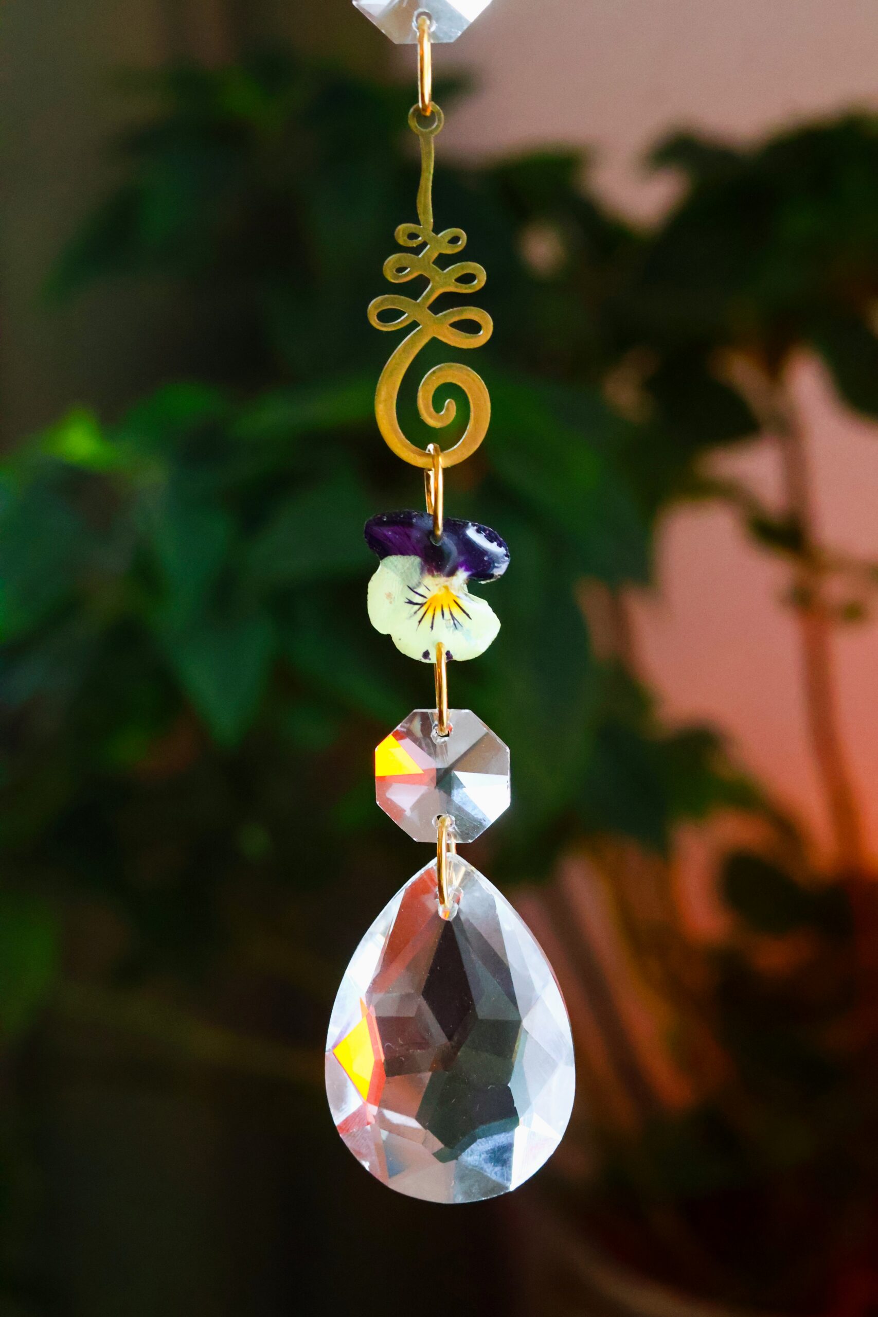 Attrape Soleil – Image 4