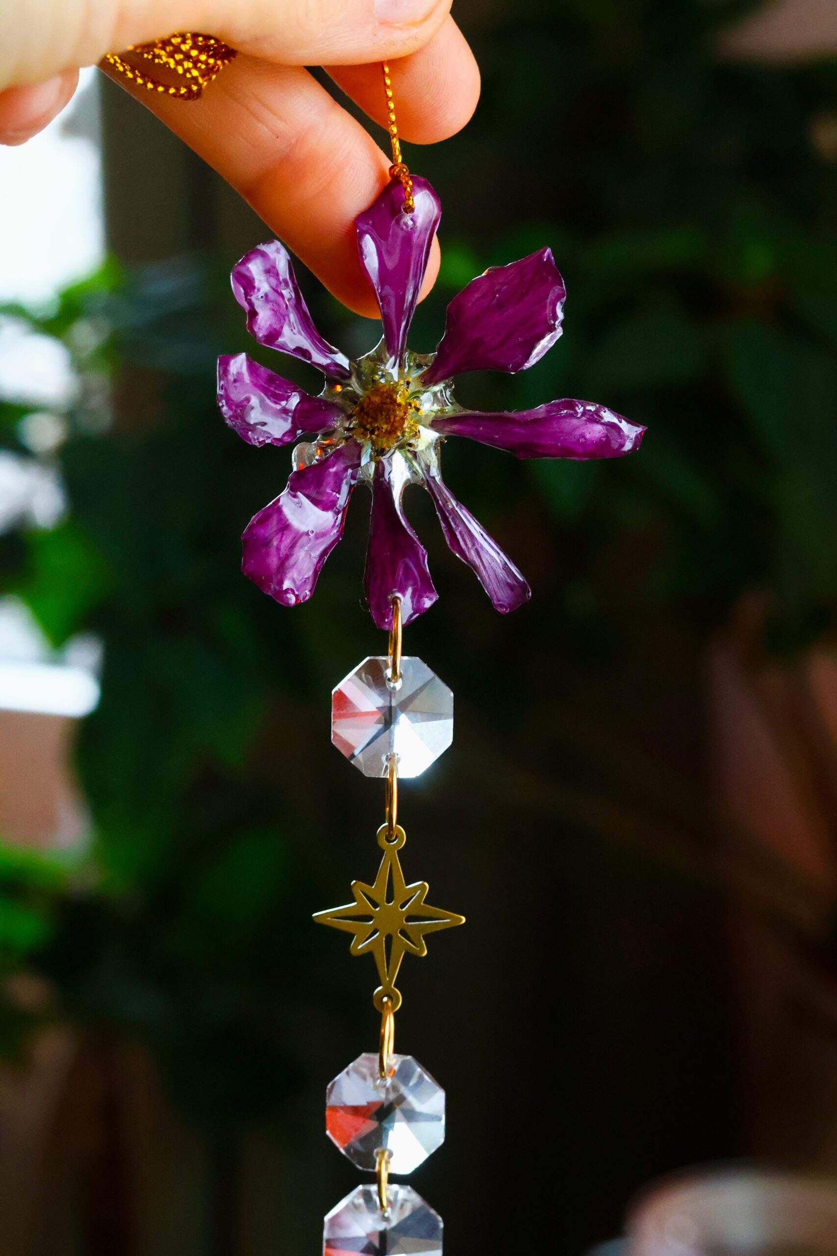 Attrape Soleil – Image 3