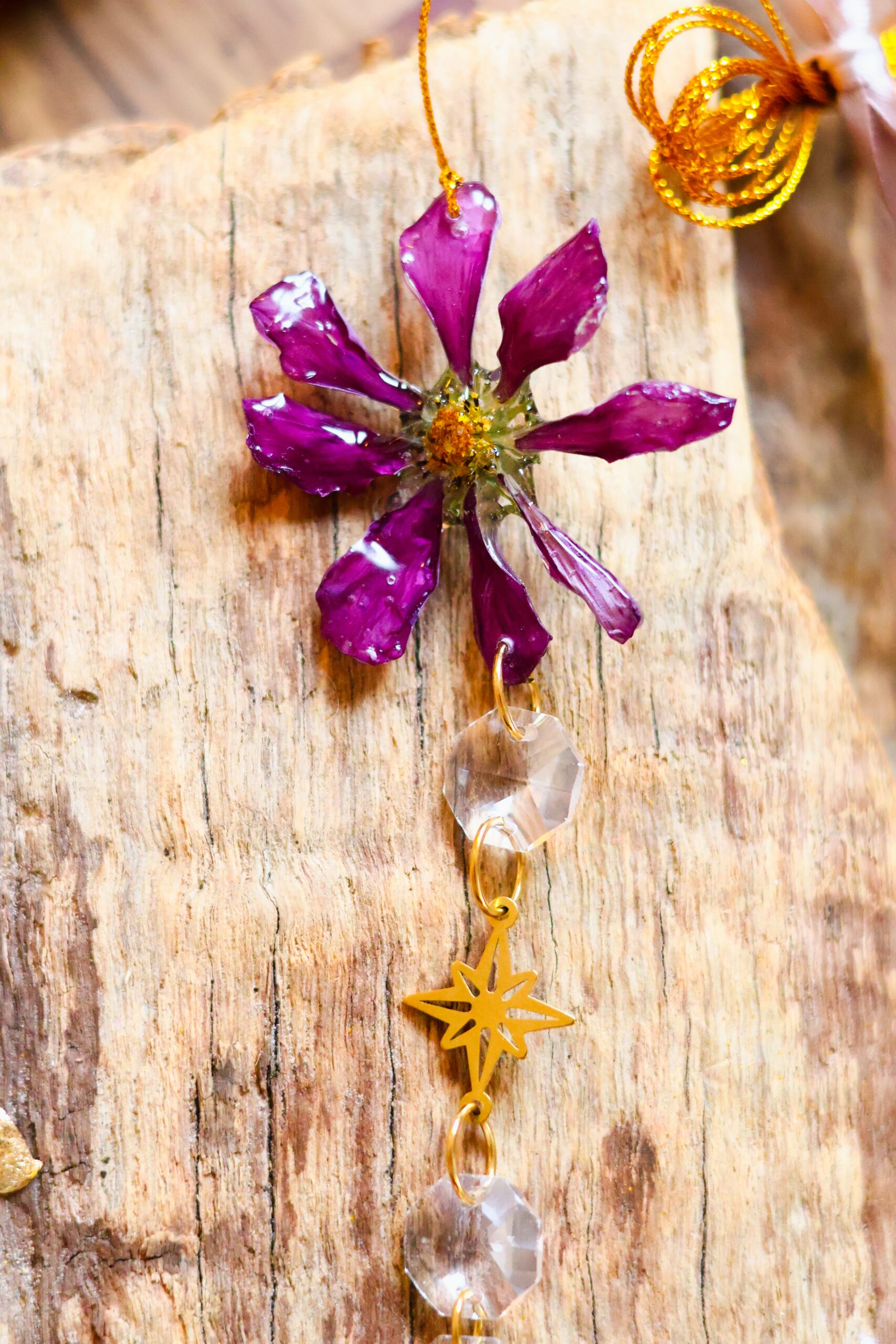 Attrape Soleil – Image 10