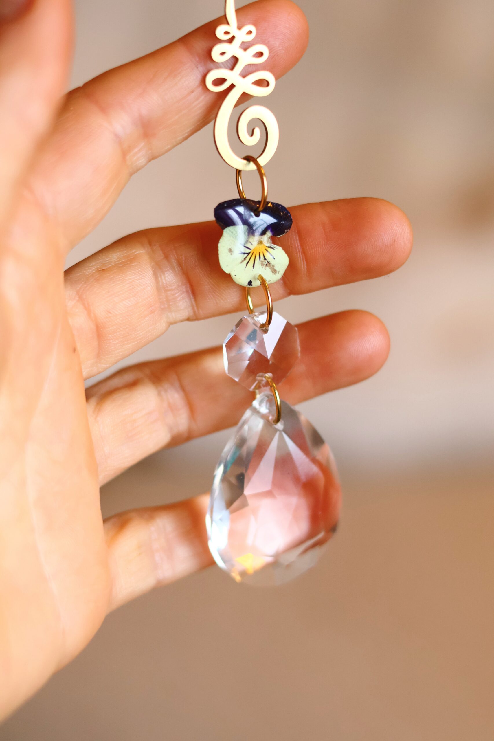 Attrape Soleil – Image 9