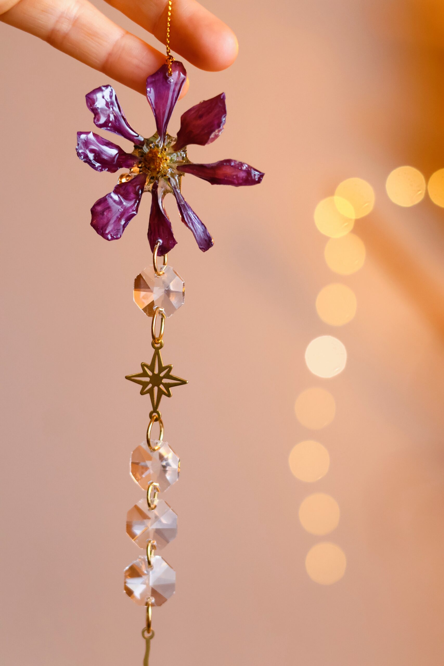 Attrape Soleil – Image 6