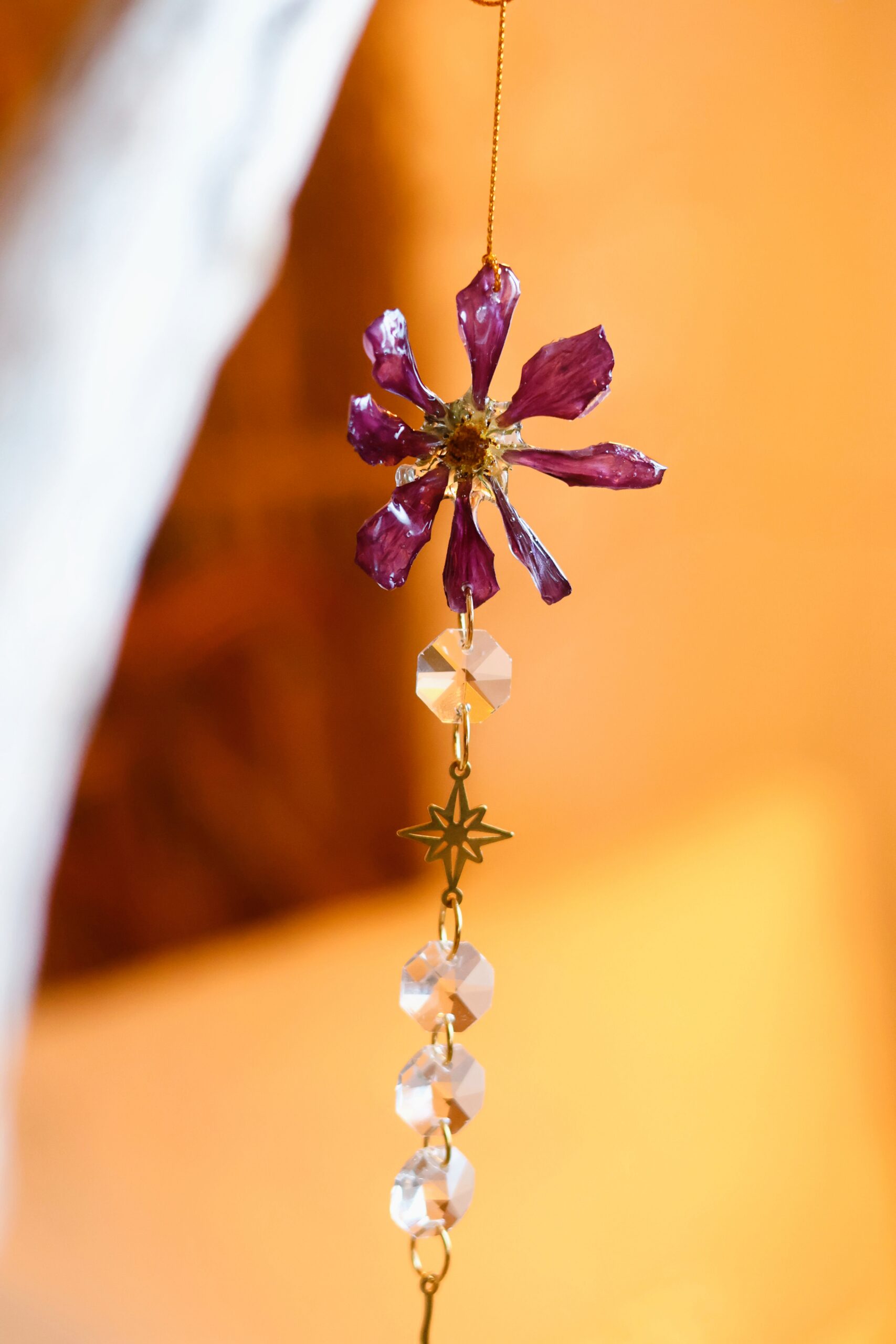 Attrape Soleil – Image 11