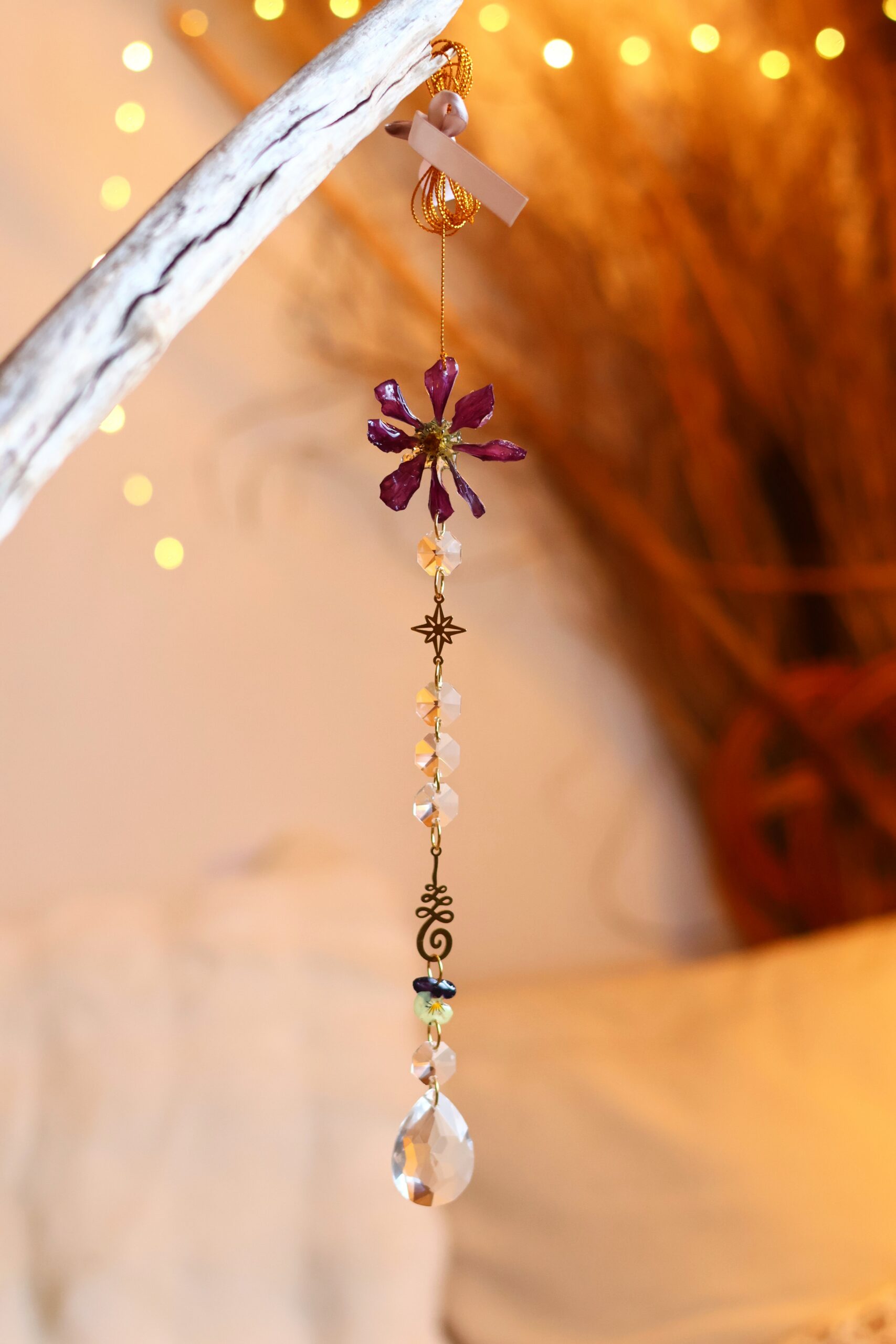 Attrape Soleil – Image 2