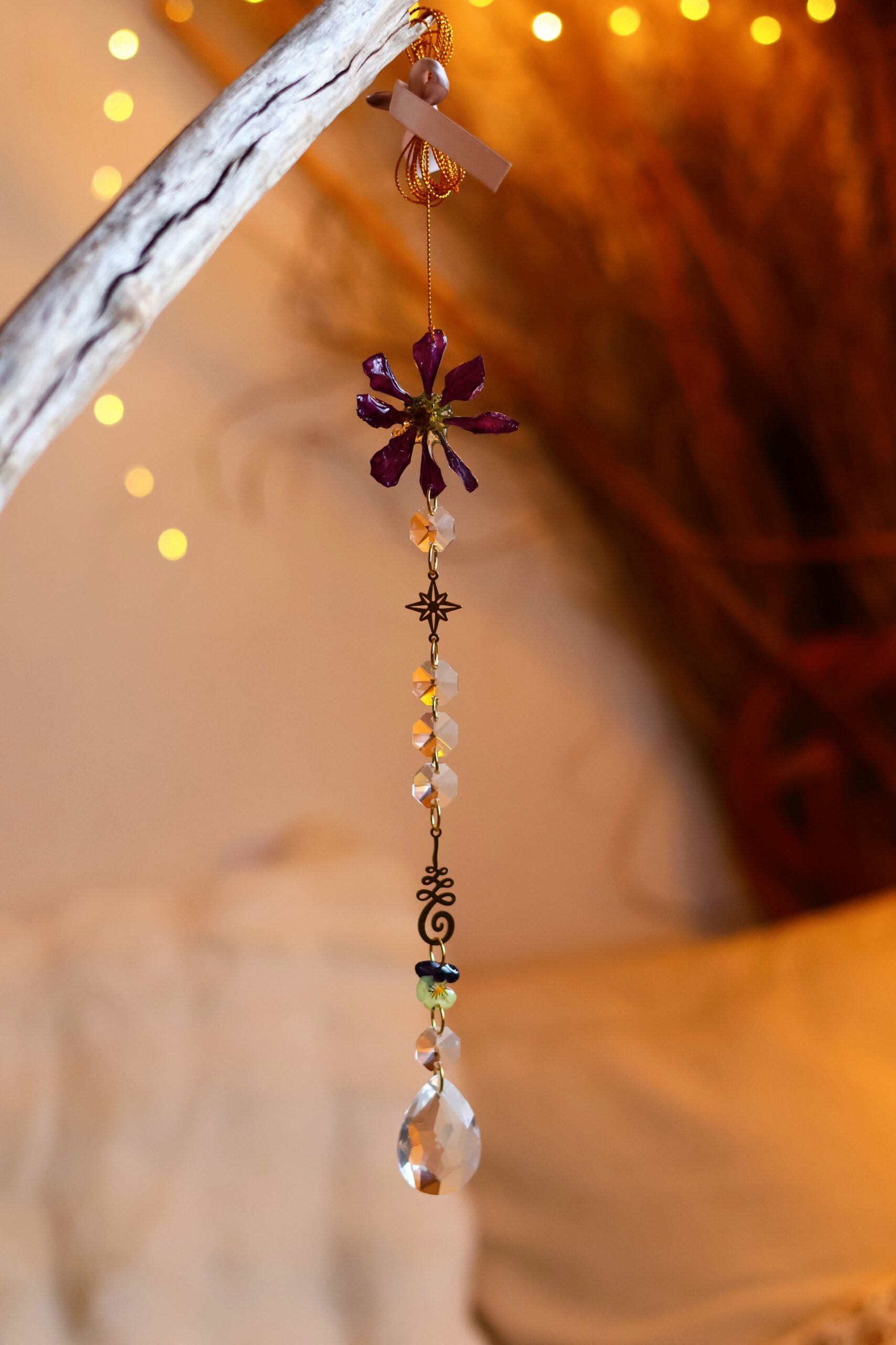 Attrape Soleil – Image 12