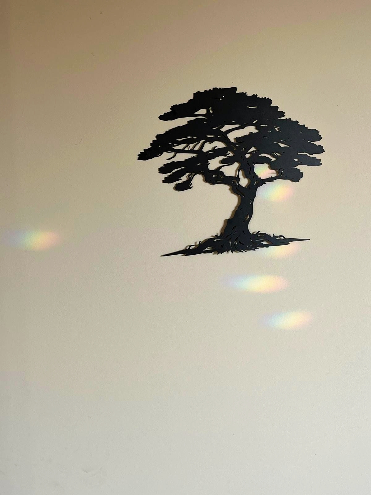 Attrape Soleil – Image 10