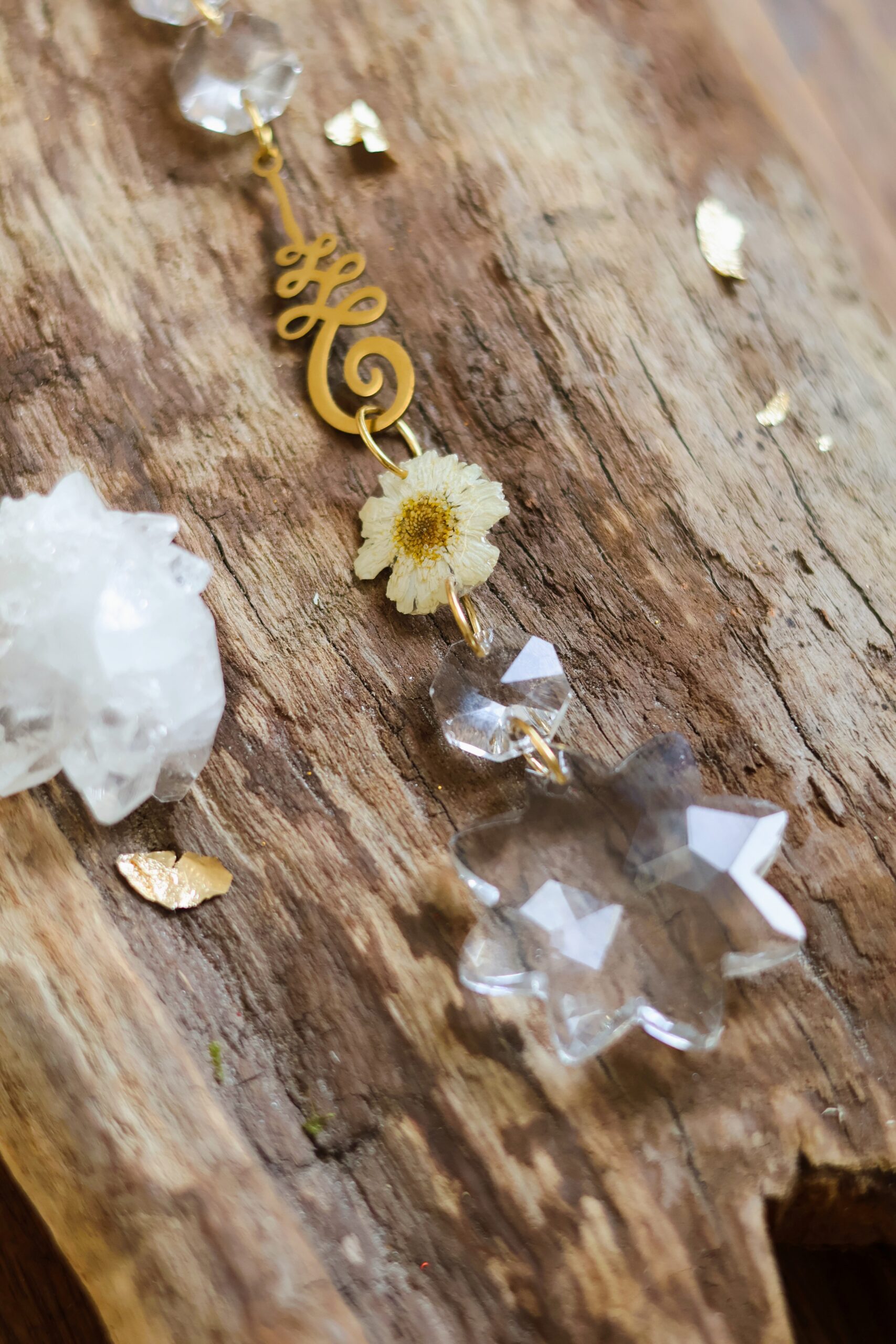 Attrape Soleil – Image 2