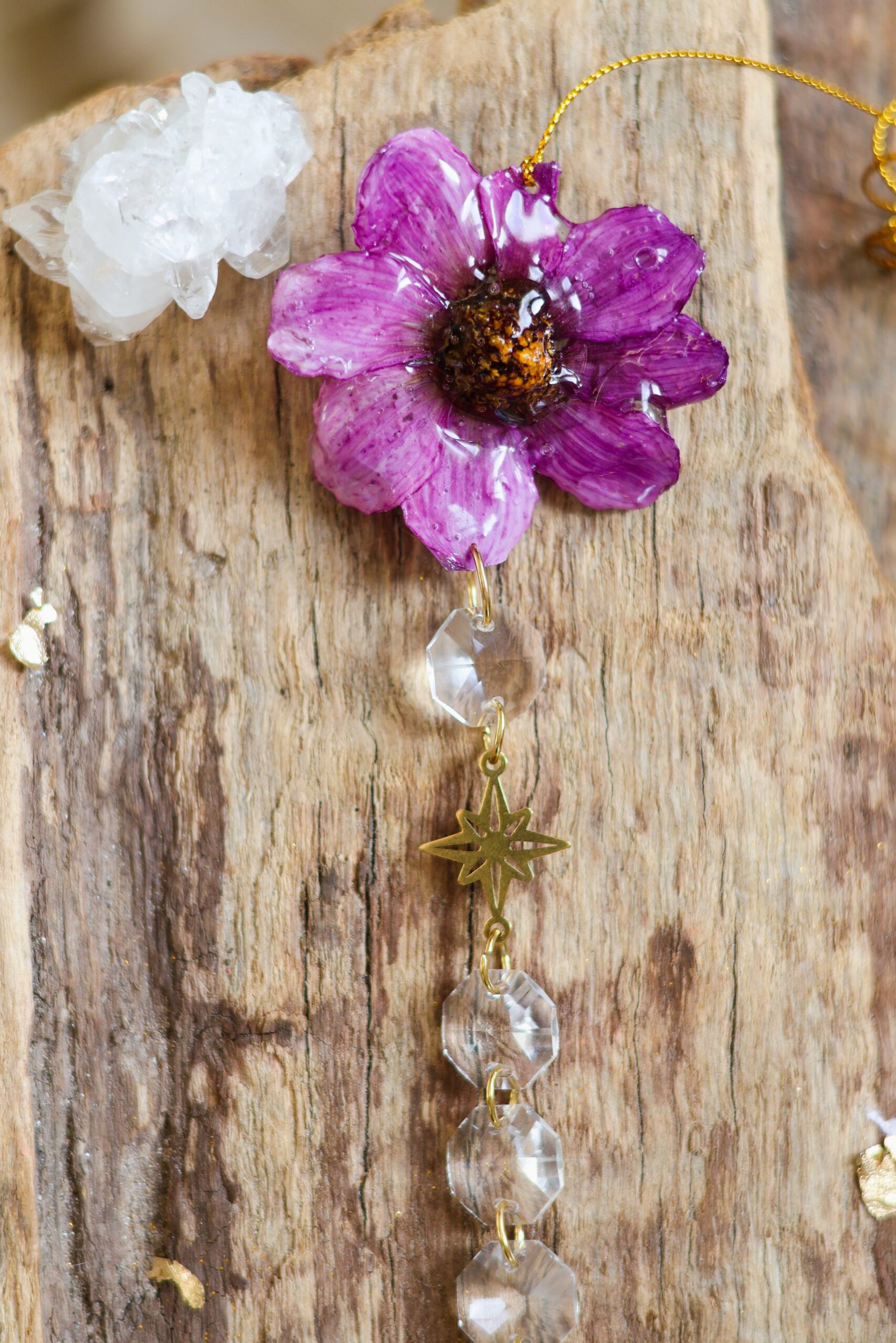 Attrape Soleil – Image 3