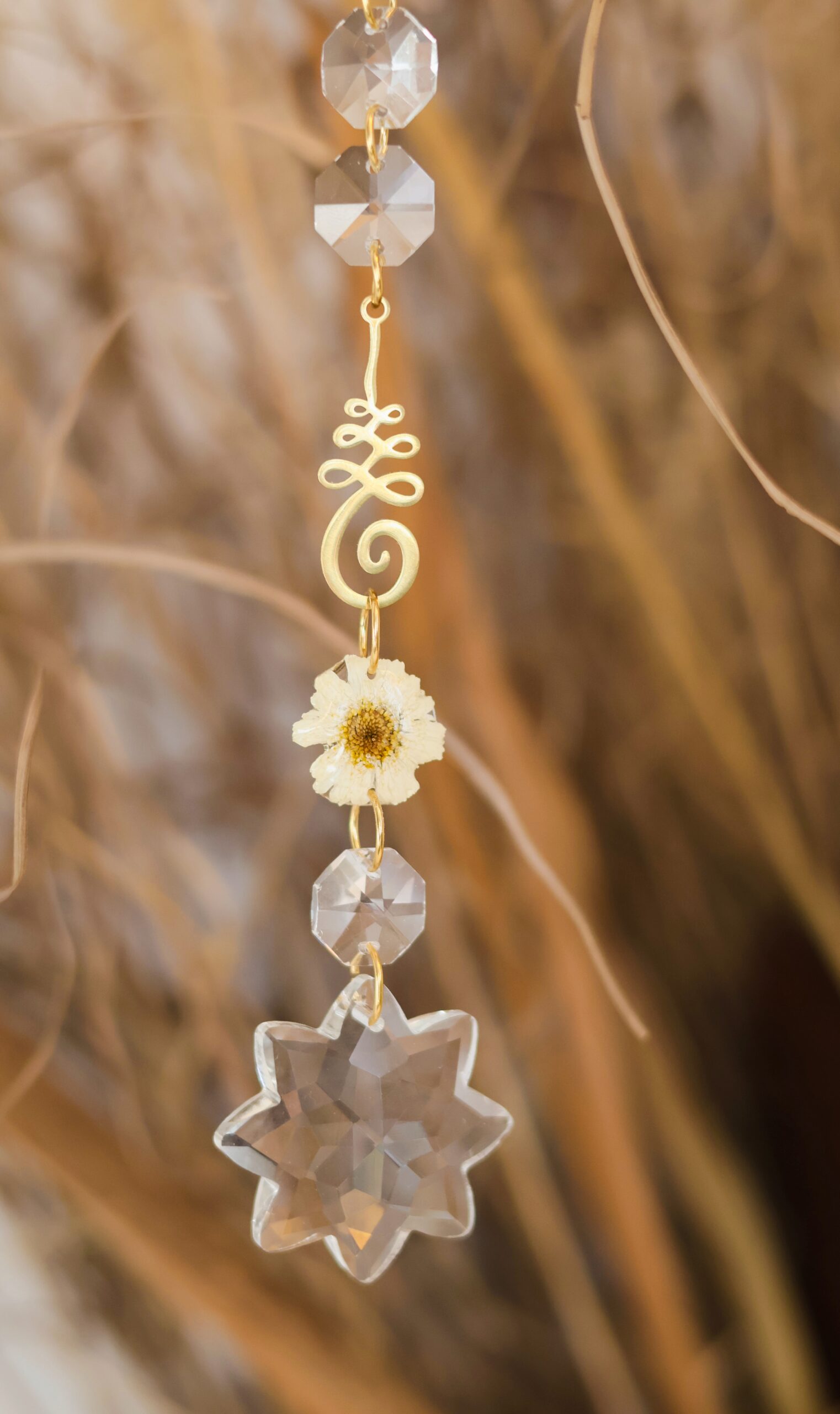 Attrape Soleil – Image 5