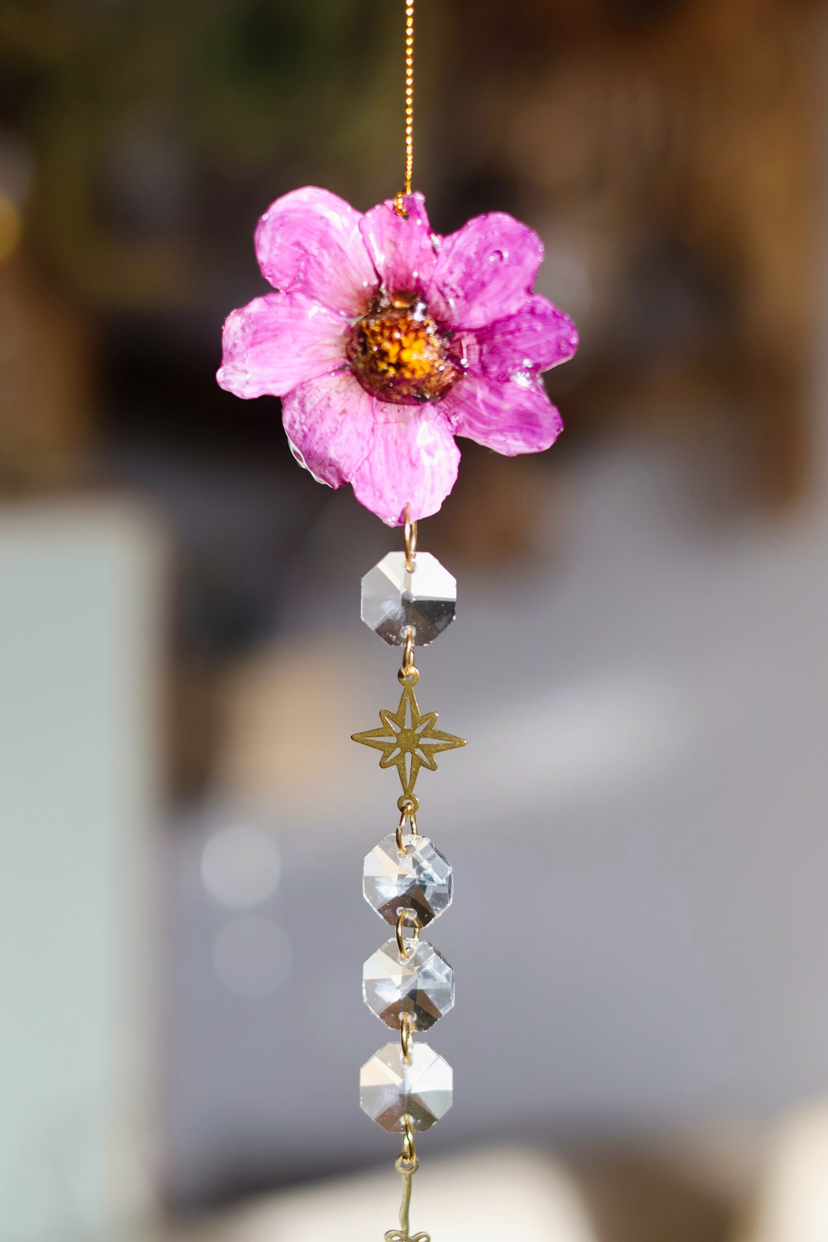 Attrape Soleil – Image 8