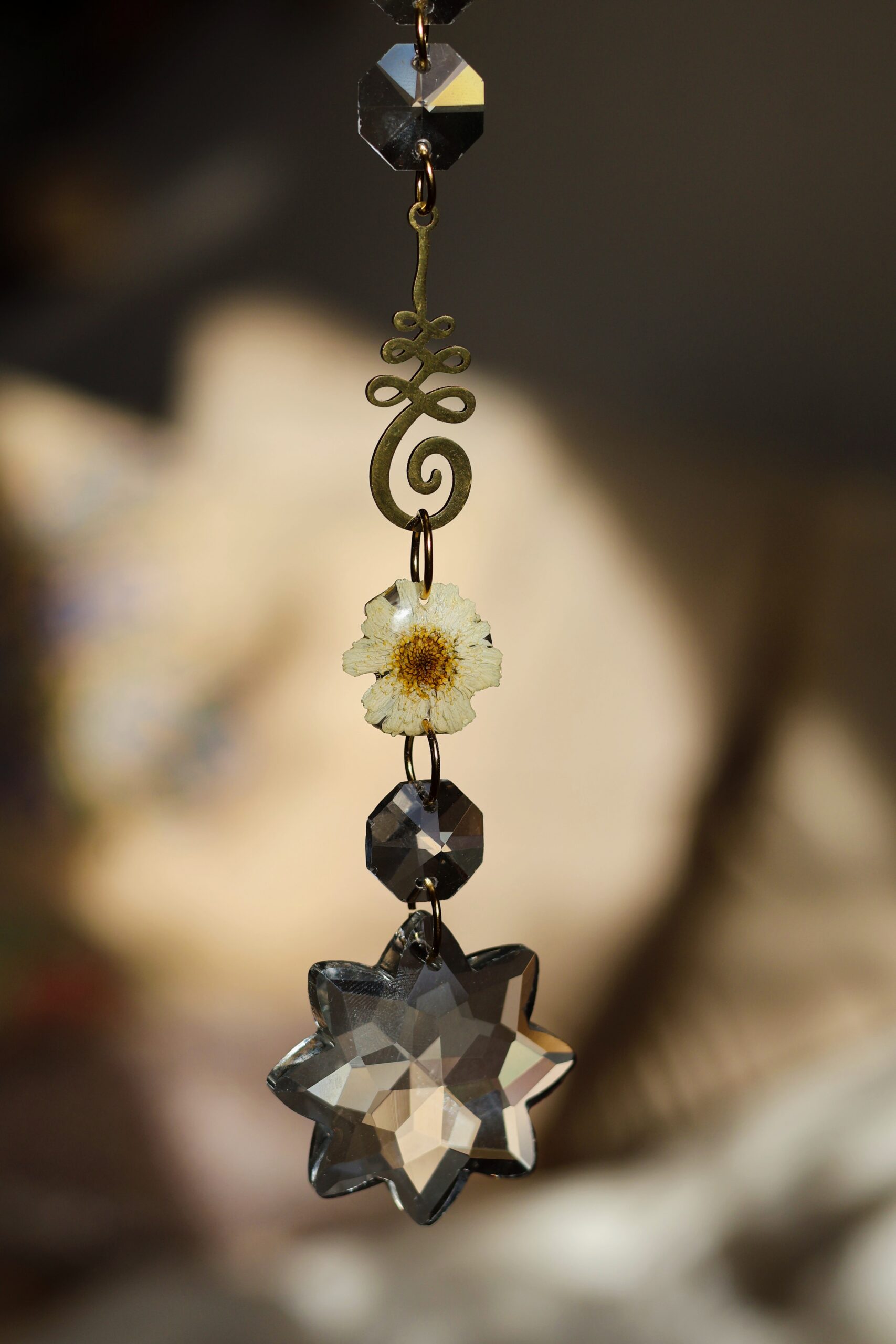 Attrape Soleil – Image 9