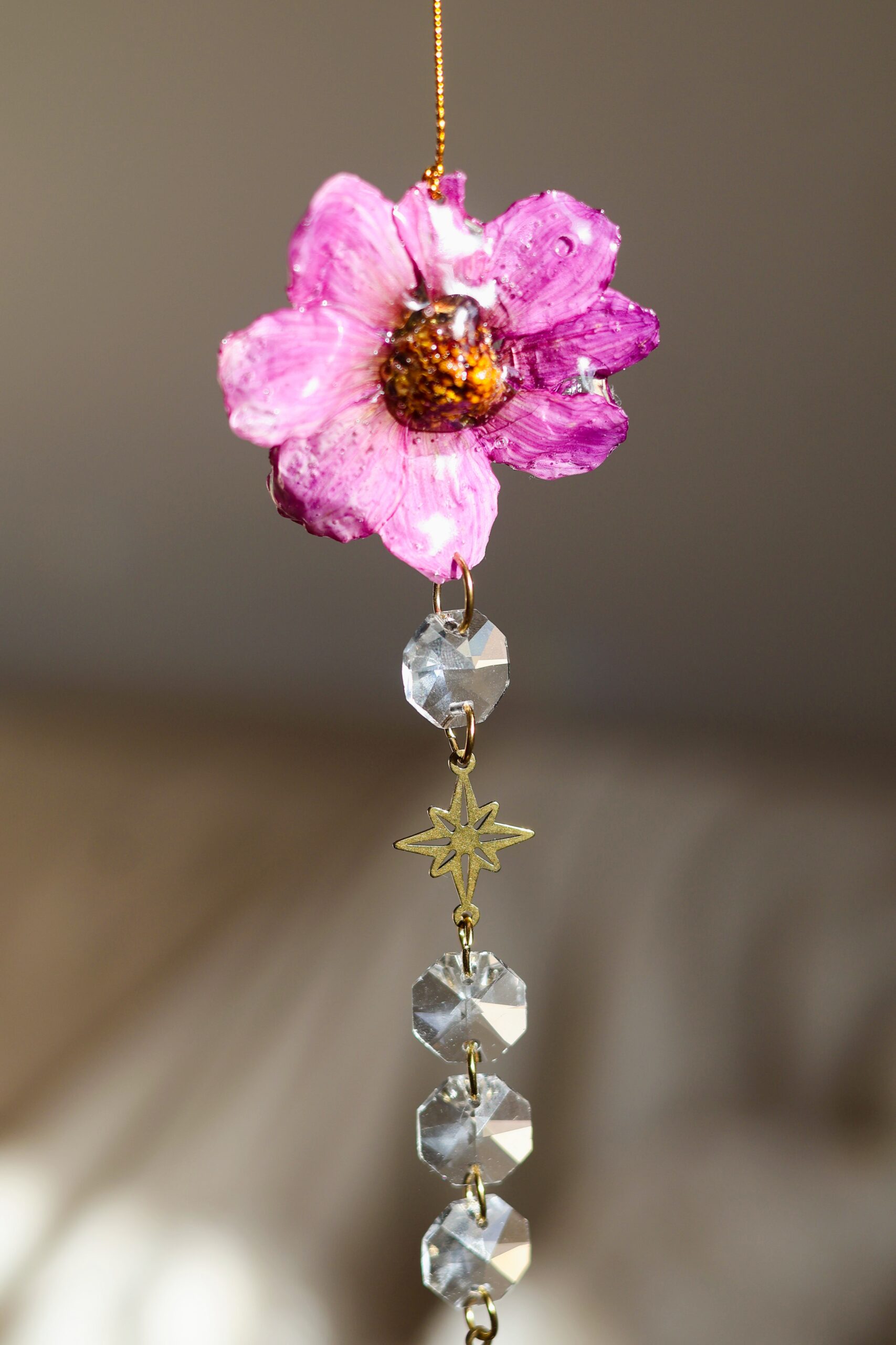 Attrape Soleil – Image 11