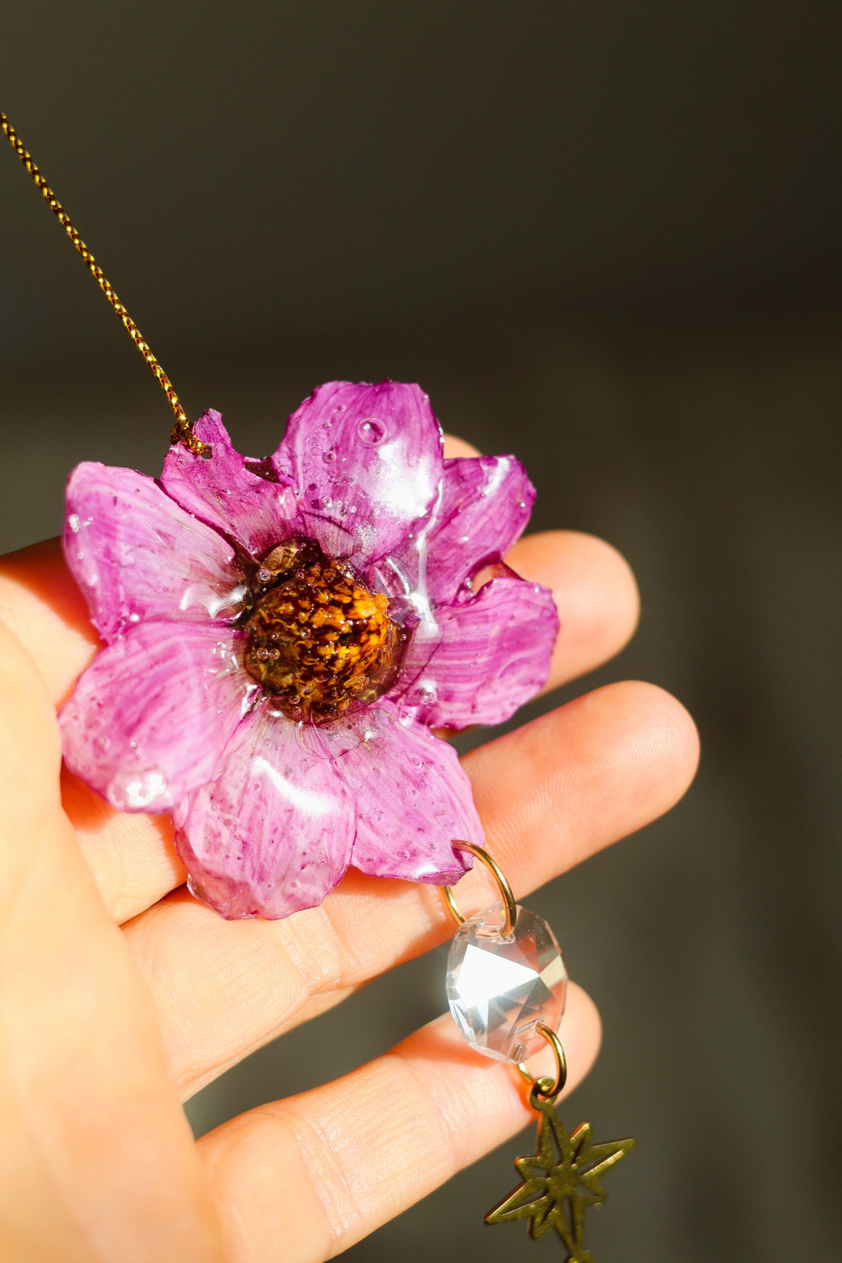 Attrape Soleil – Image 12