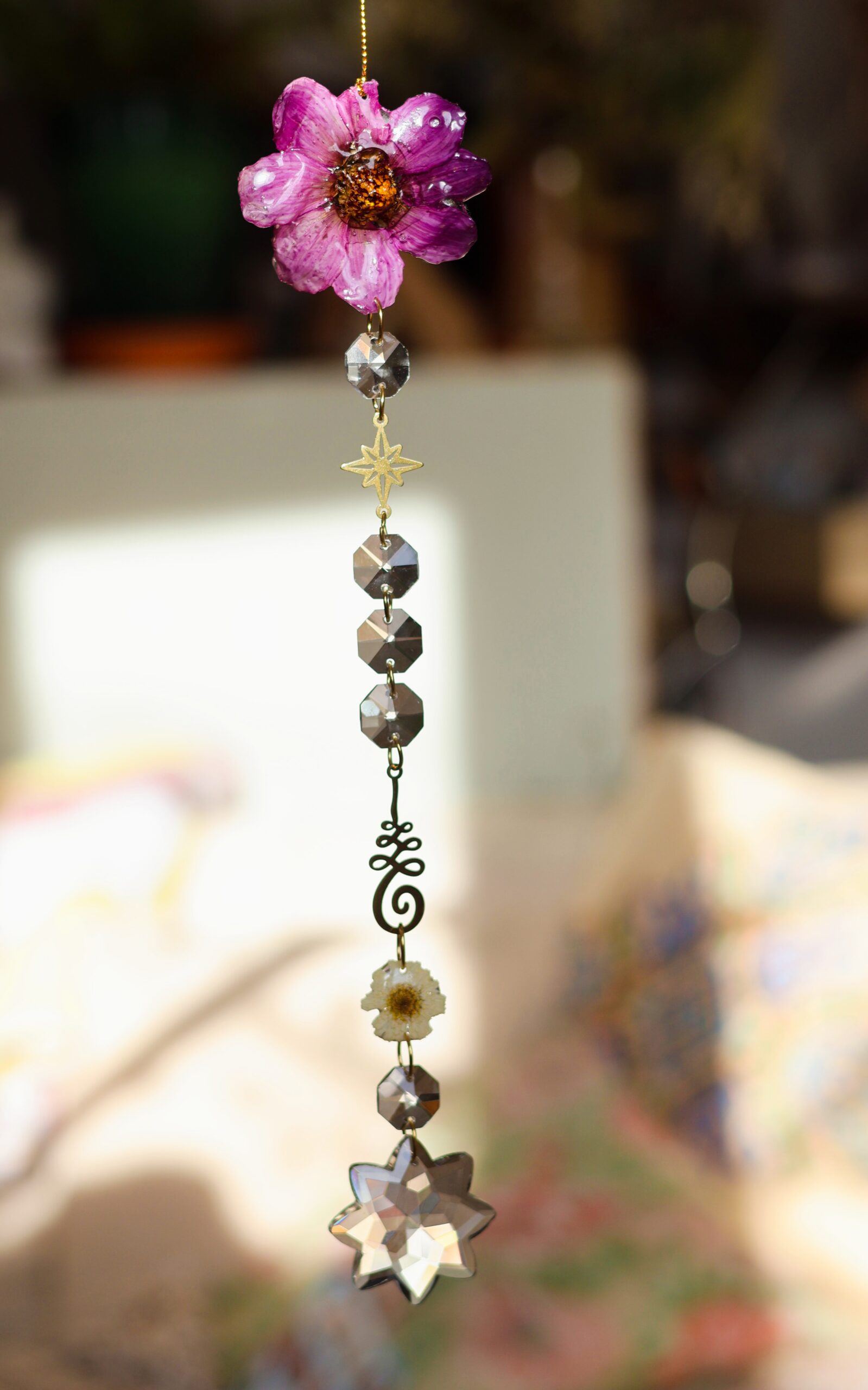 Attrape Soleil – Image 14