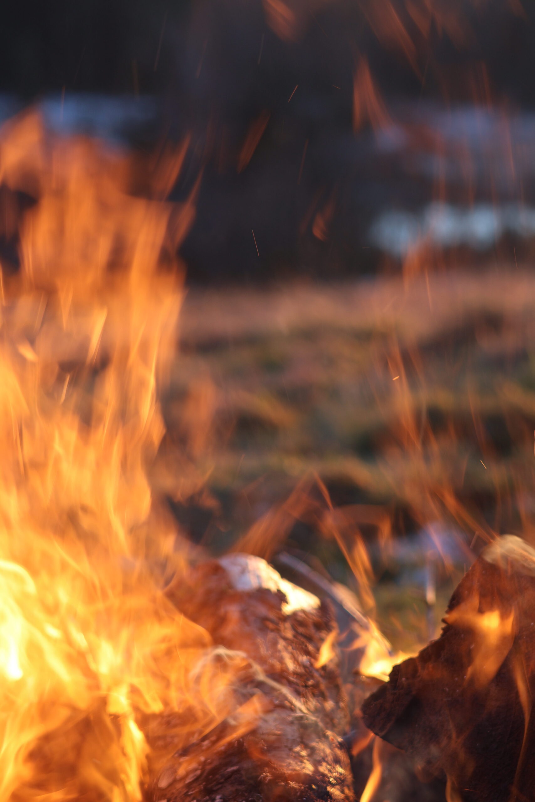 Coffret Encens Murmure Végétal – Image 8