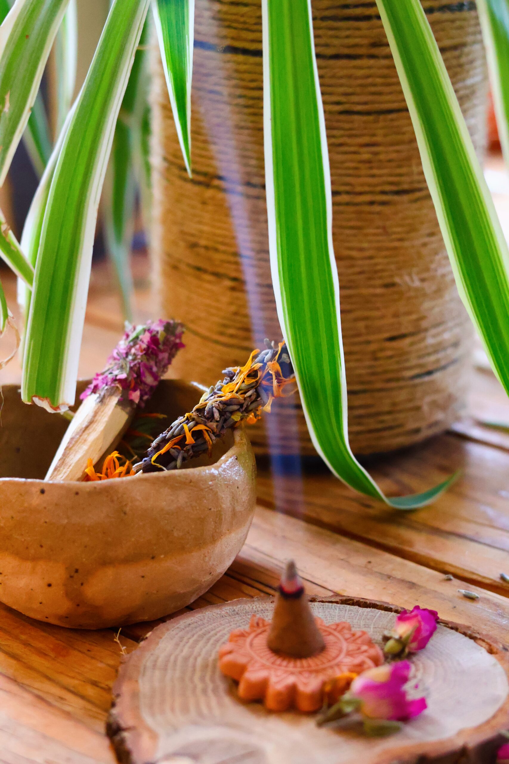 Coffret Encens Murmure Végétal – Image 15