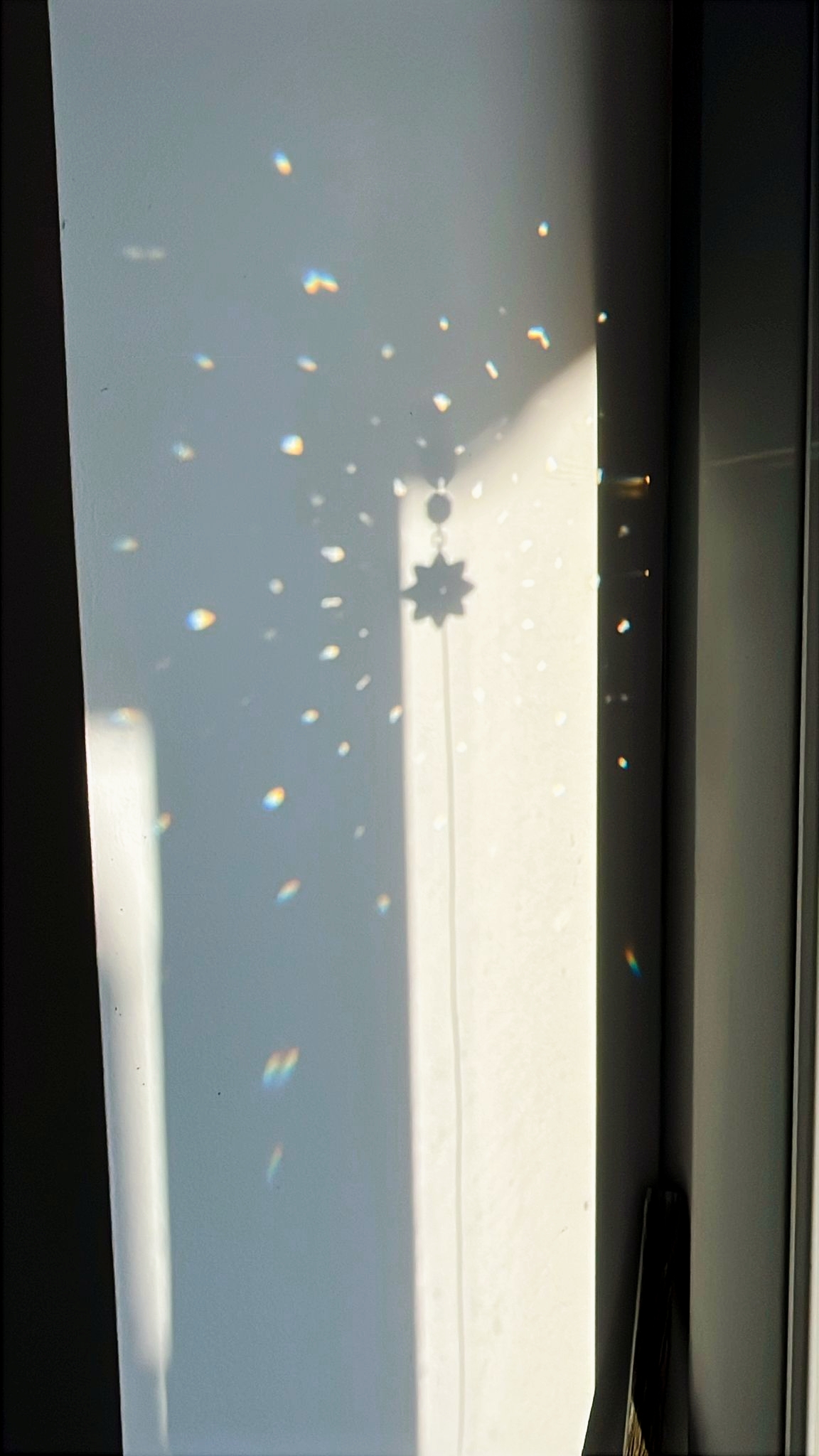 Attrape Soleil – Image 15