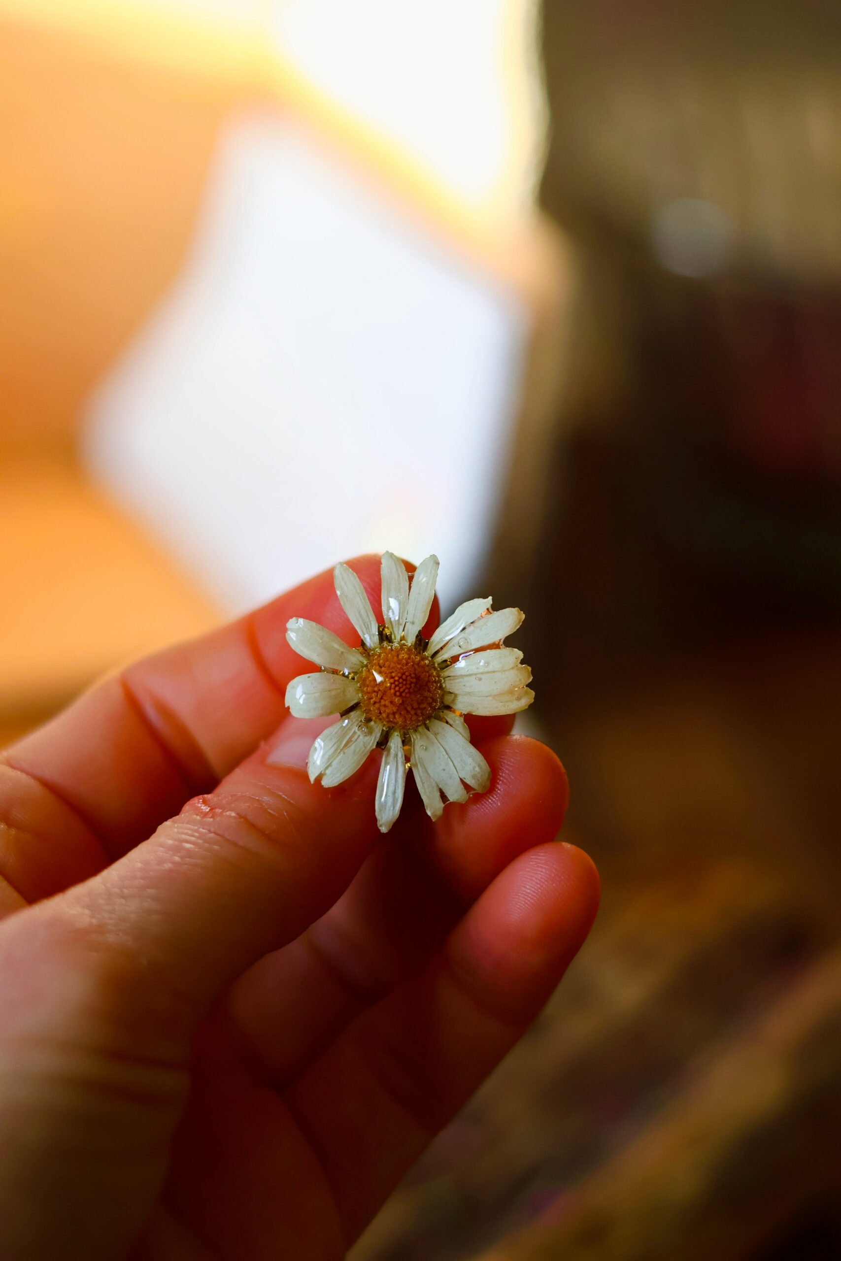 Broche Marguerite – Image 8