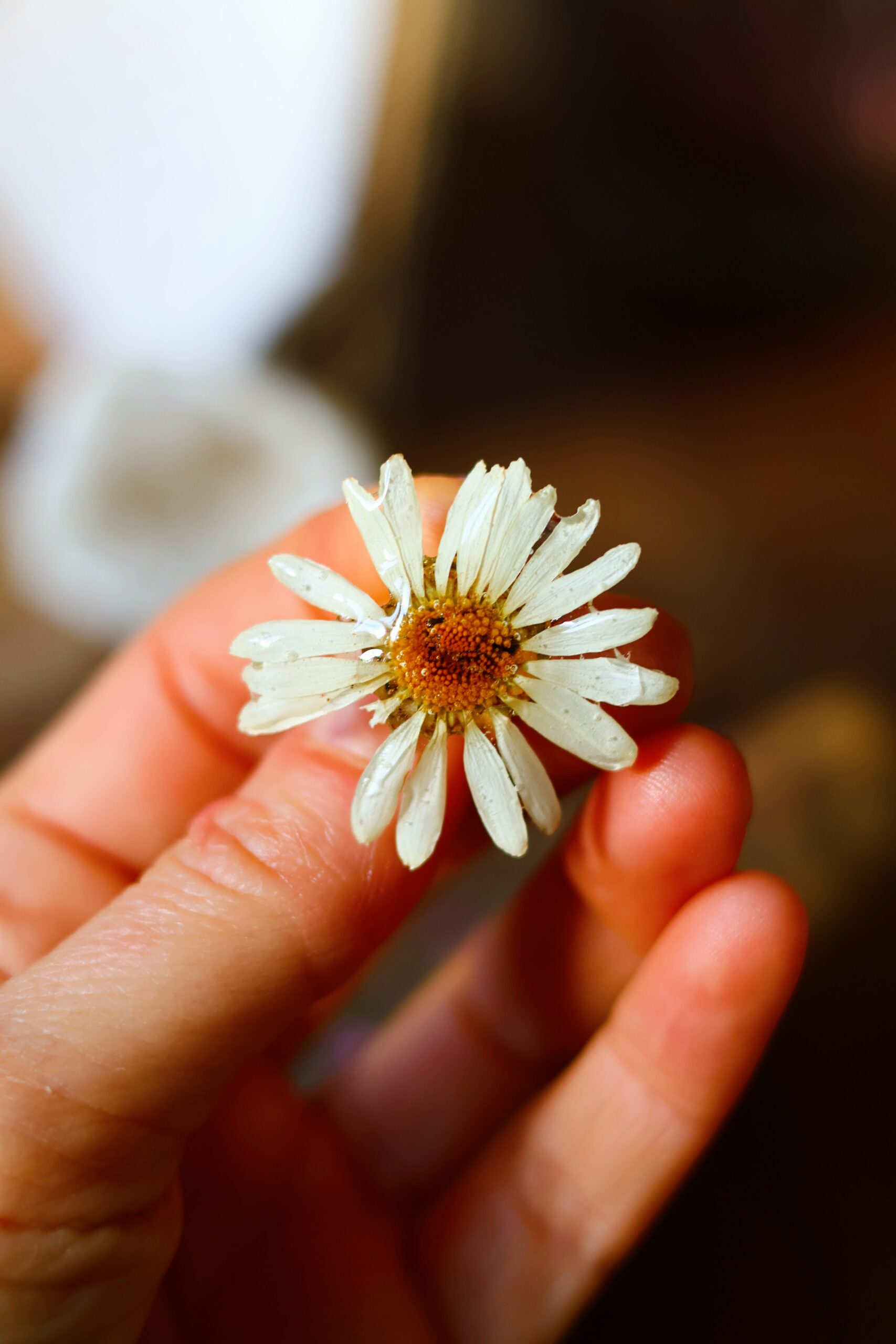 Broche Marguerite