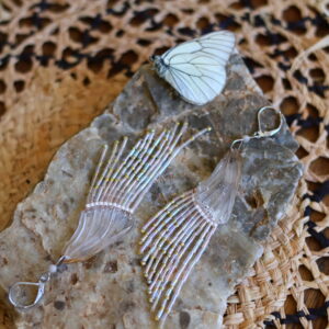 Collection papillon
