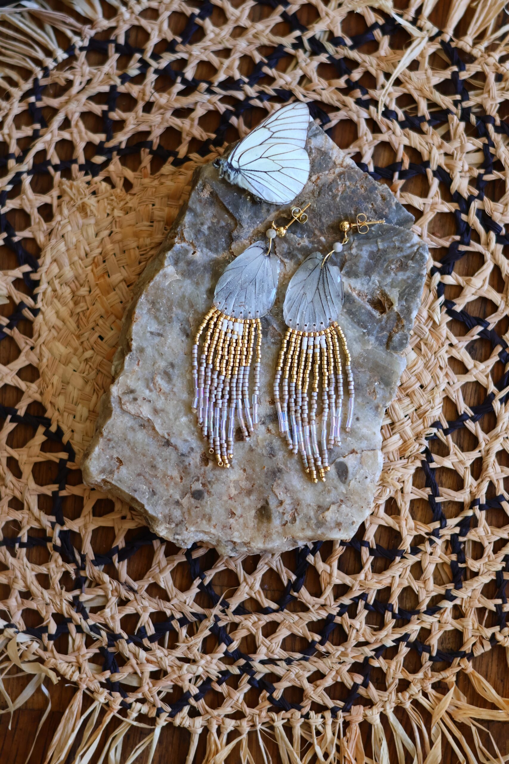 Collection papillon – Image 2
