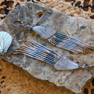 Collection papillon