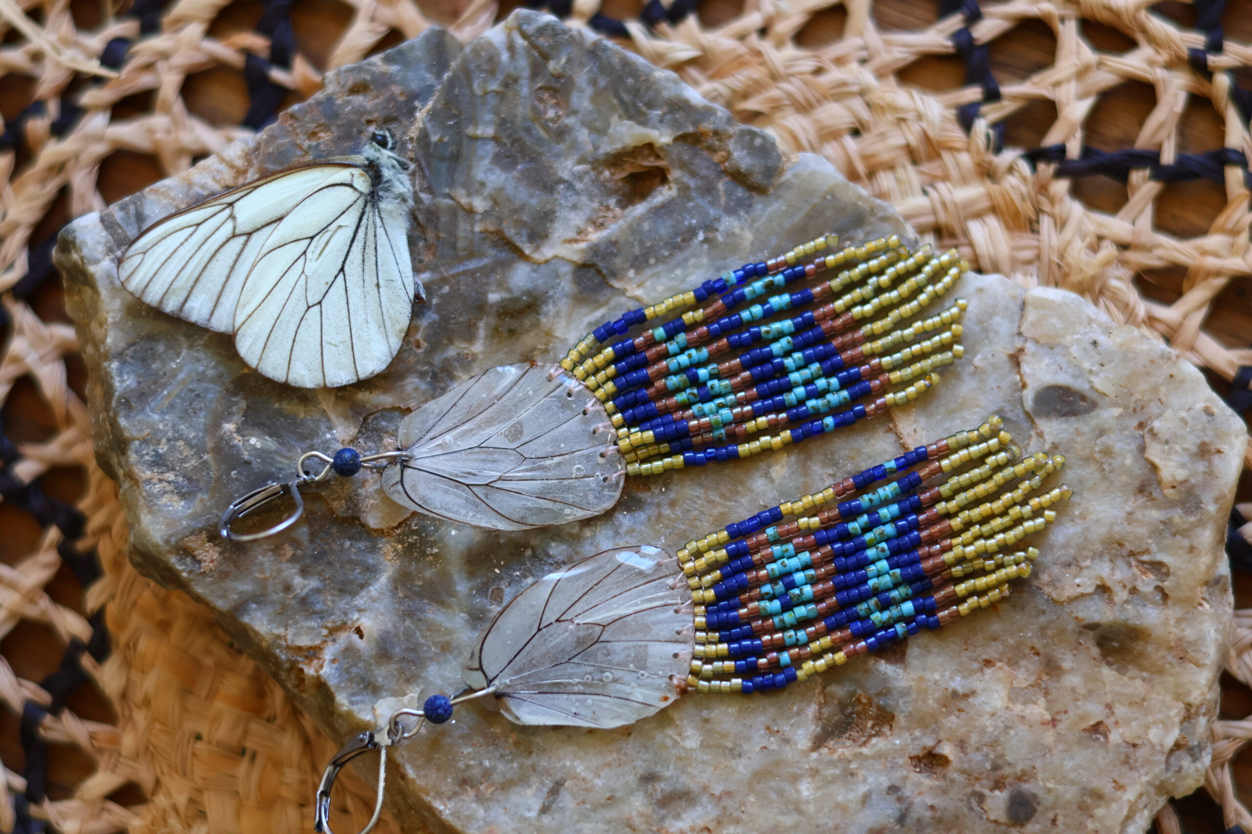 Collection papillon – Image 2