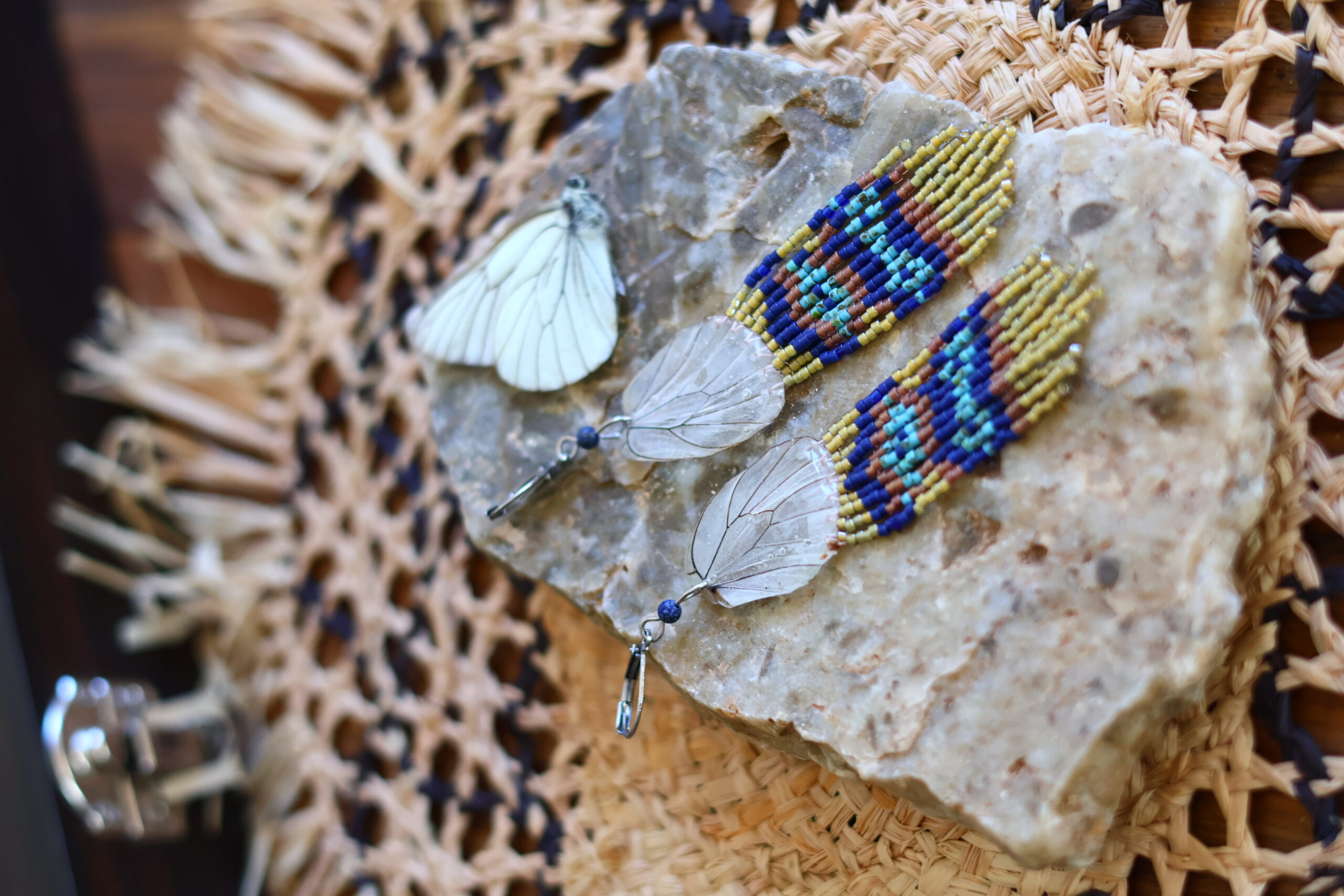 Collection papillon – Image 9
