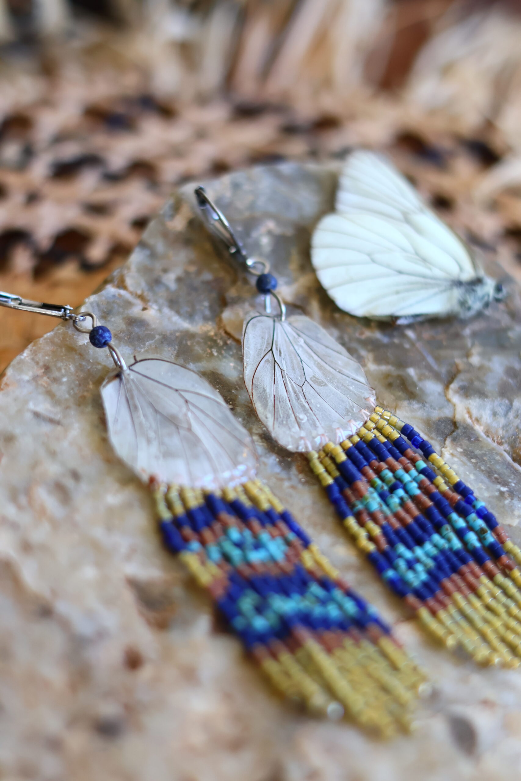 Collection papillon – Image 6