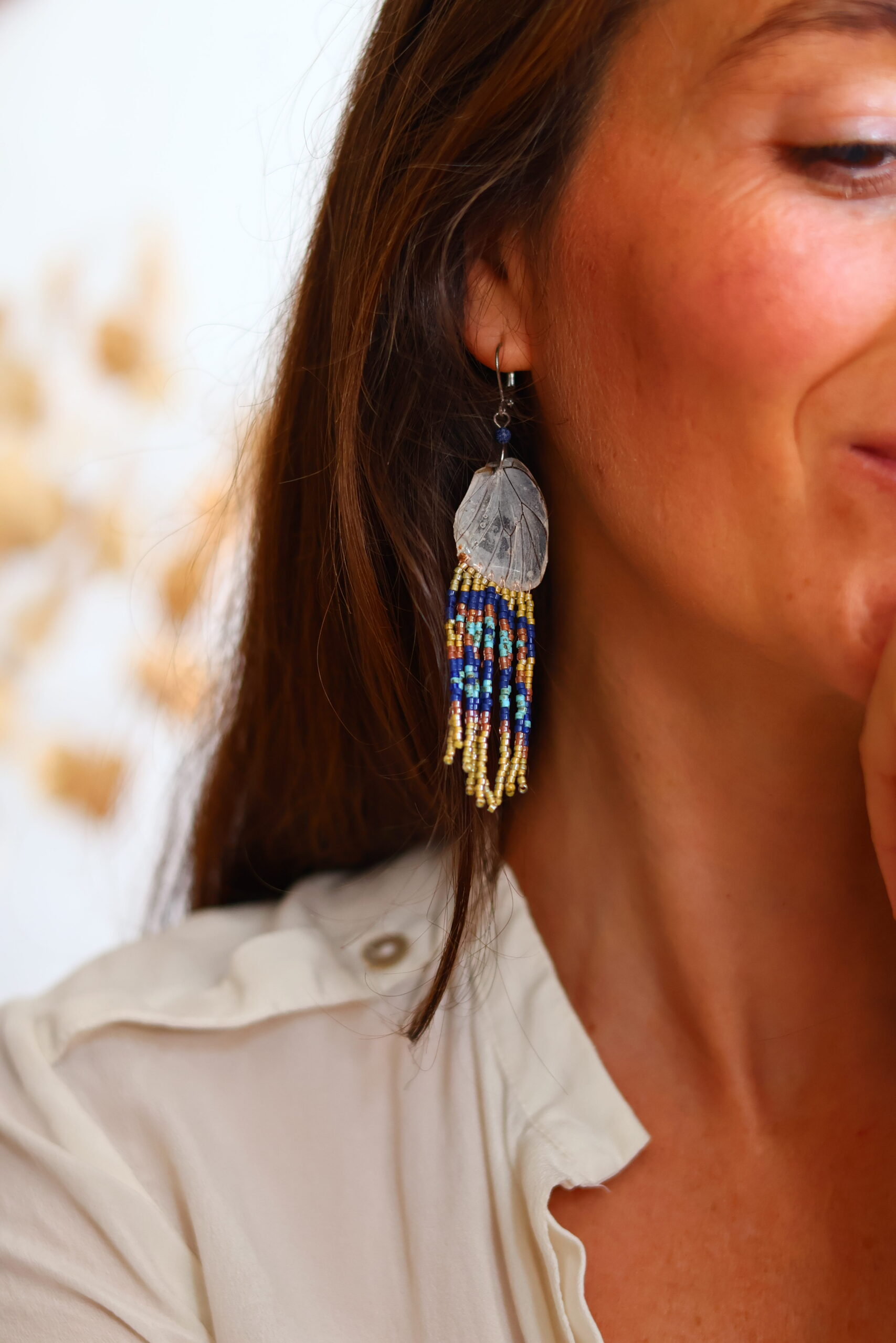 Collection papillon