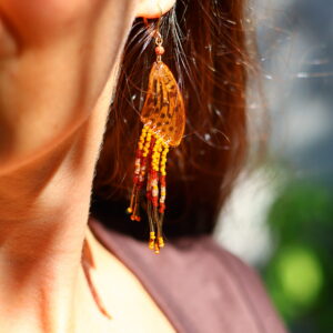 Collection papillon