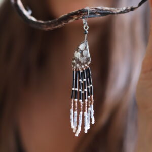 Collection papillon