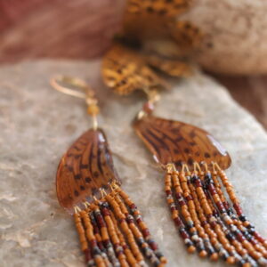 Collection papillon