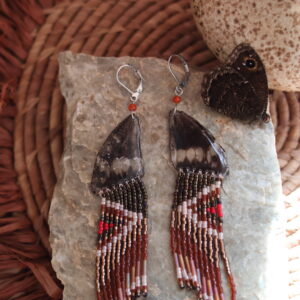 Collection papillon